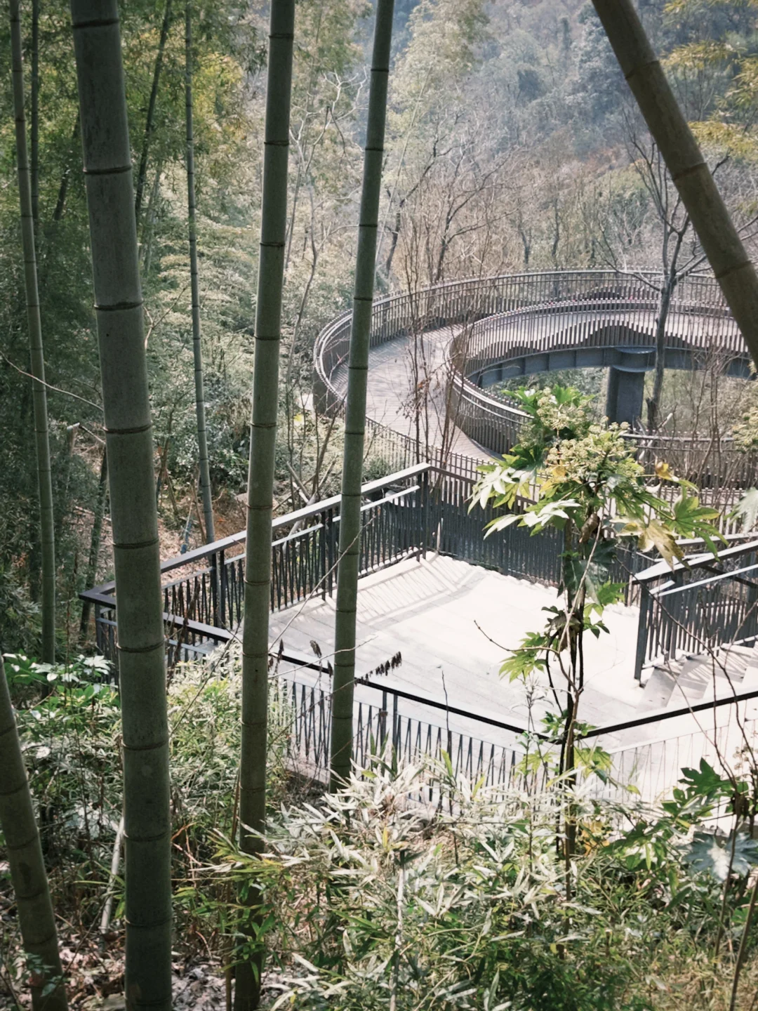 台州椒江丨准备好1TB的胃?