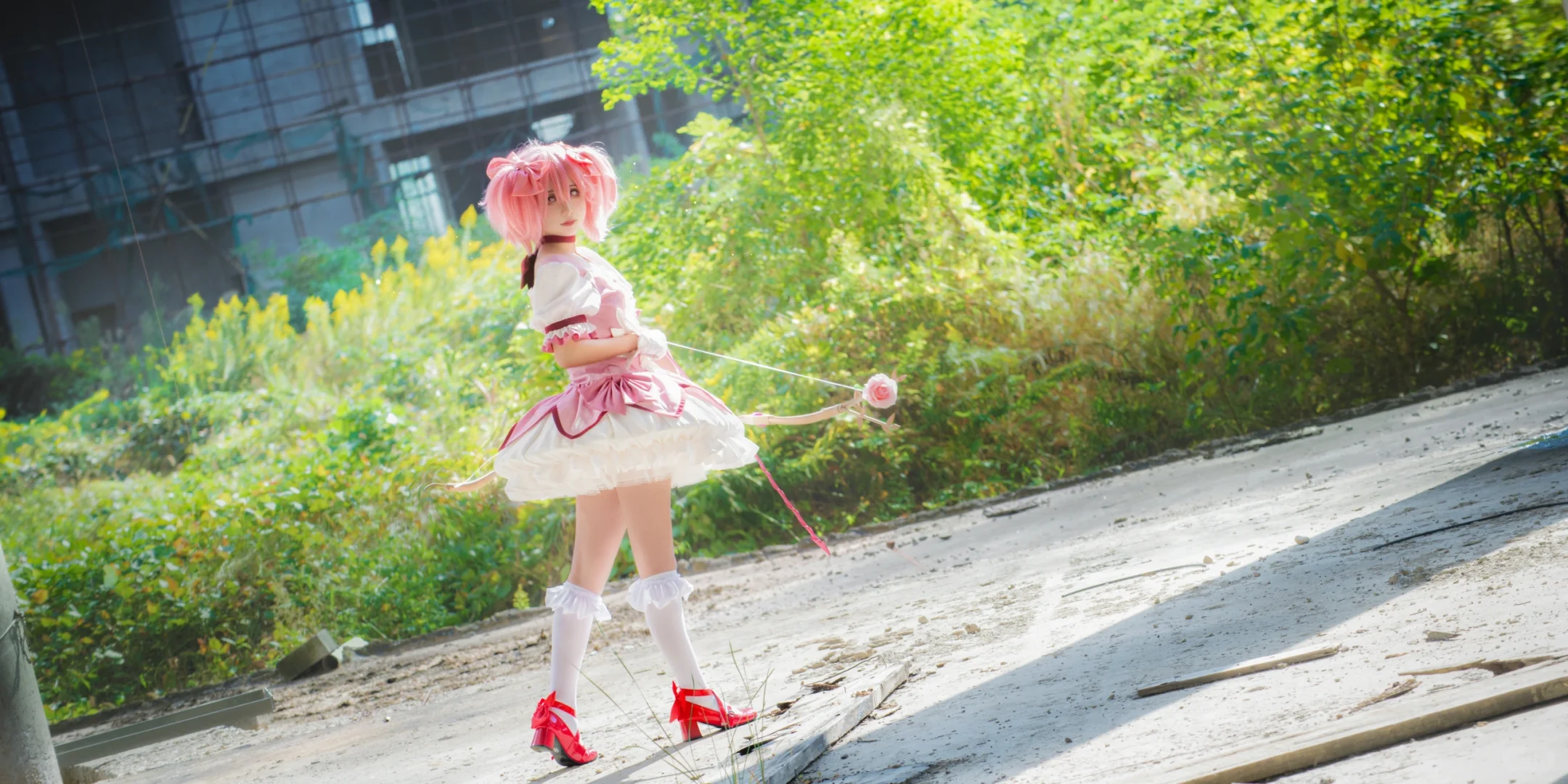 金陵青年文化博览会2nd（已满谢谢大家）