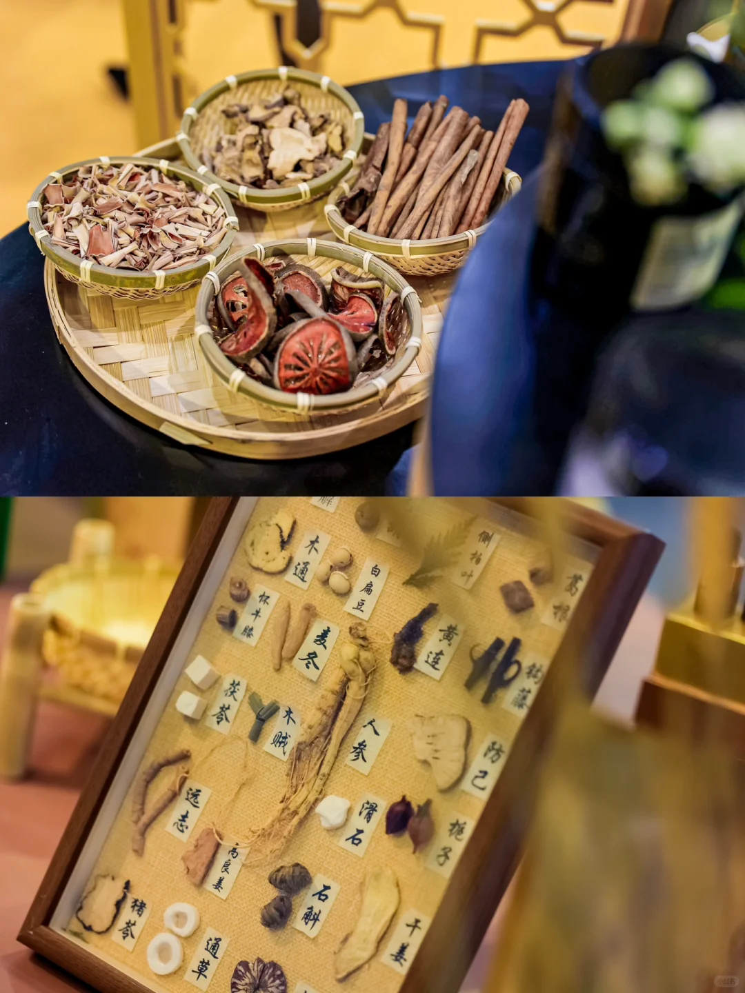 别错过3月广州❗一日游从美博会到广州塔?