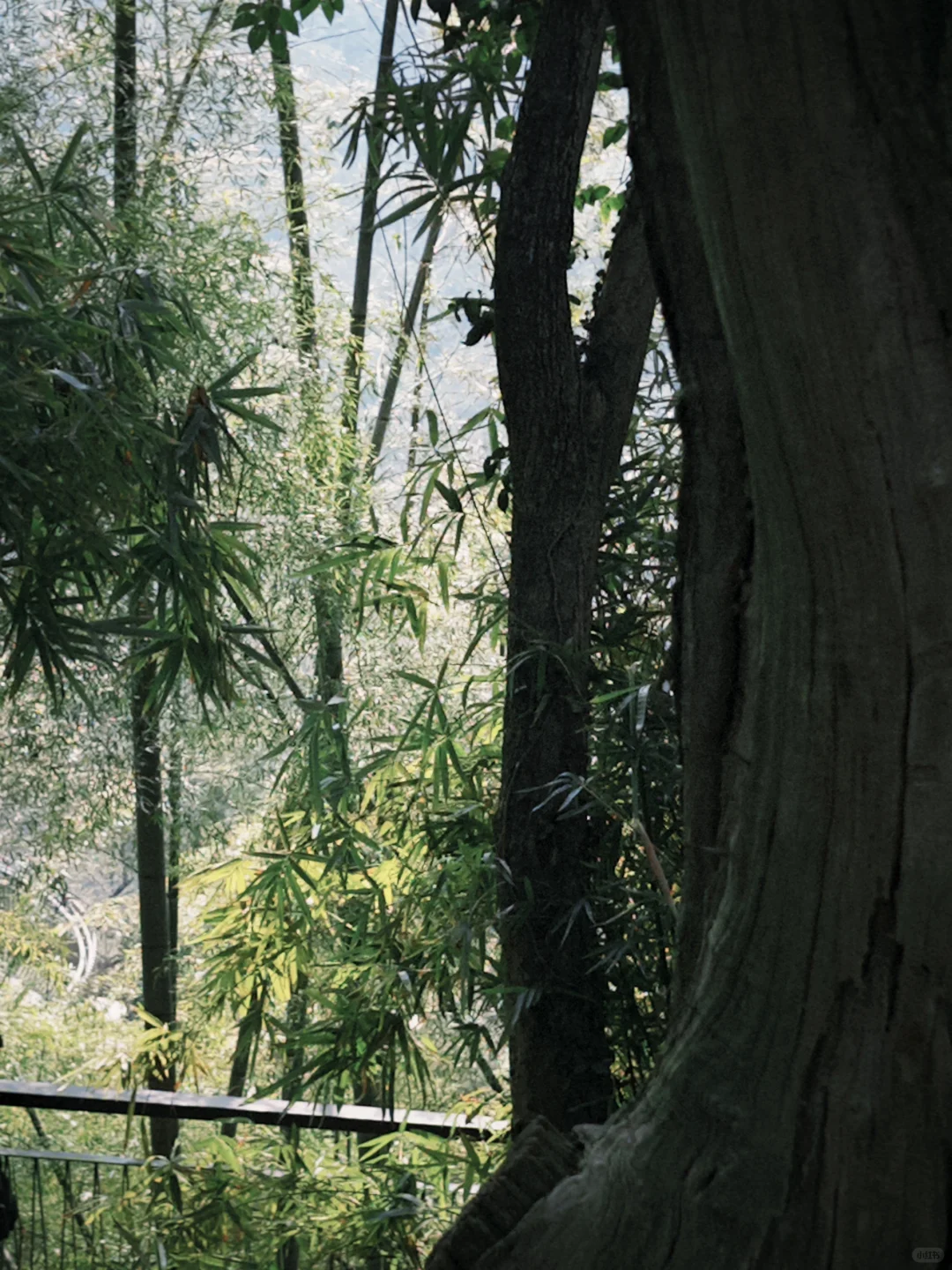 台州椒江丨准备好1TB的胃?