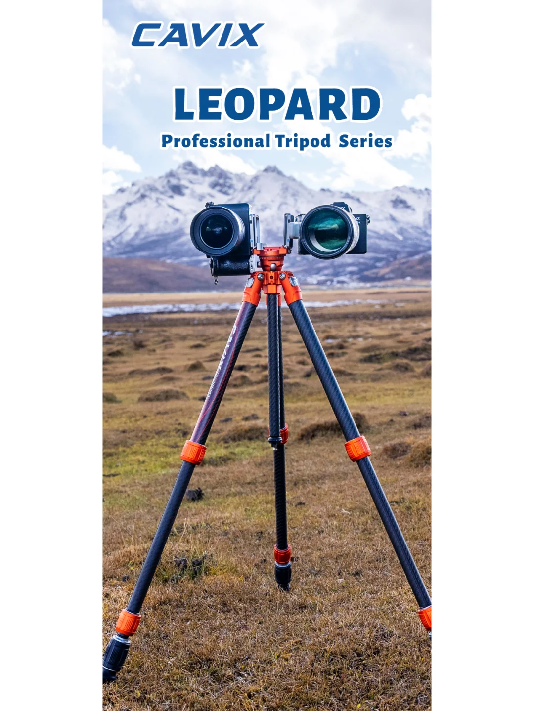 3.8-11英国摄影展览会，邀您共赴光影盛宴！