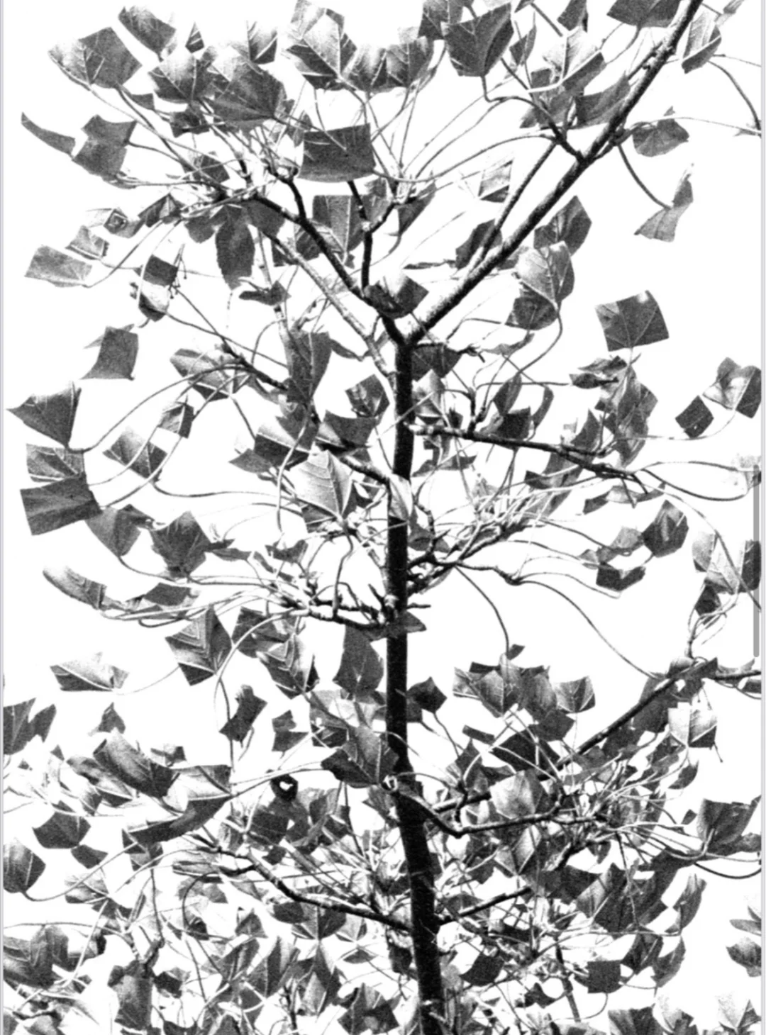 苏格兰最酷的艺术组织Ghost Art School展览