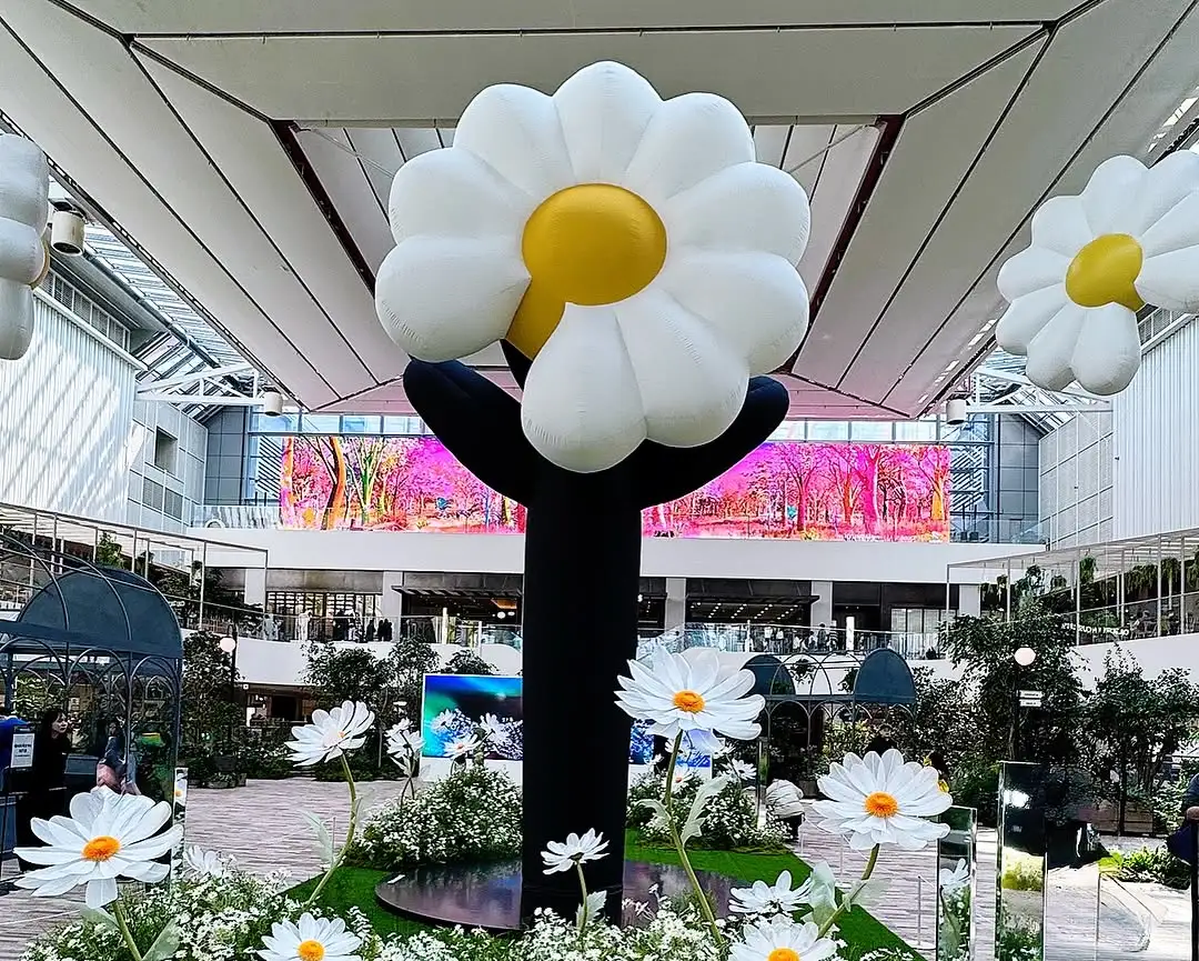 250309 like姐IG更新展览会相关