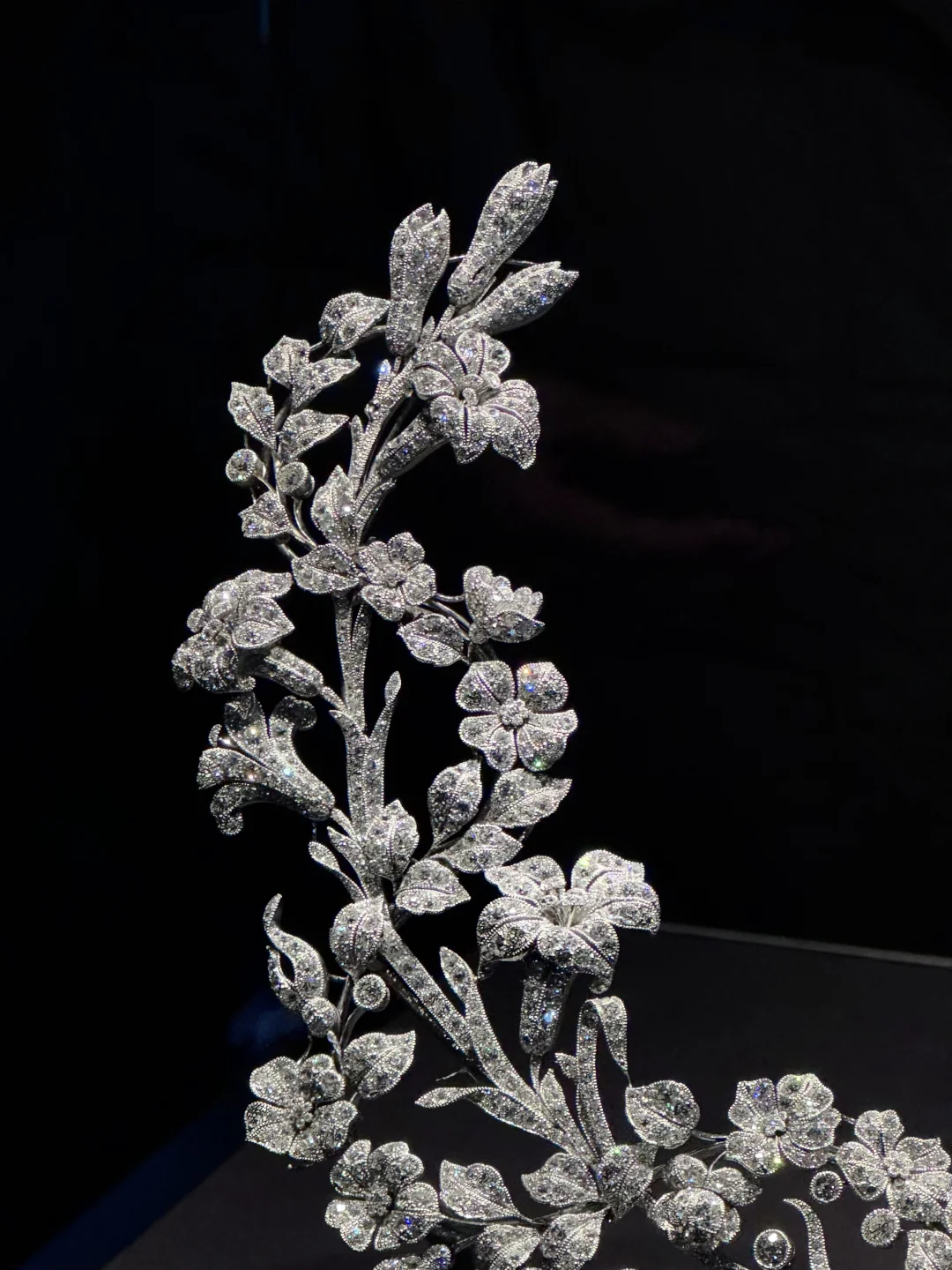 你们都不买那我也不买噜