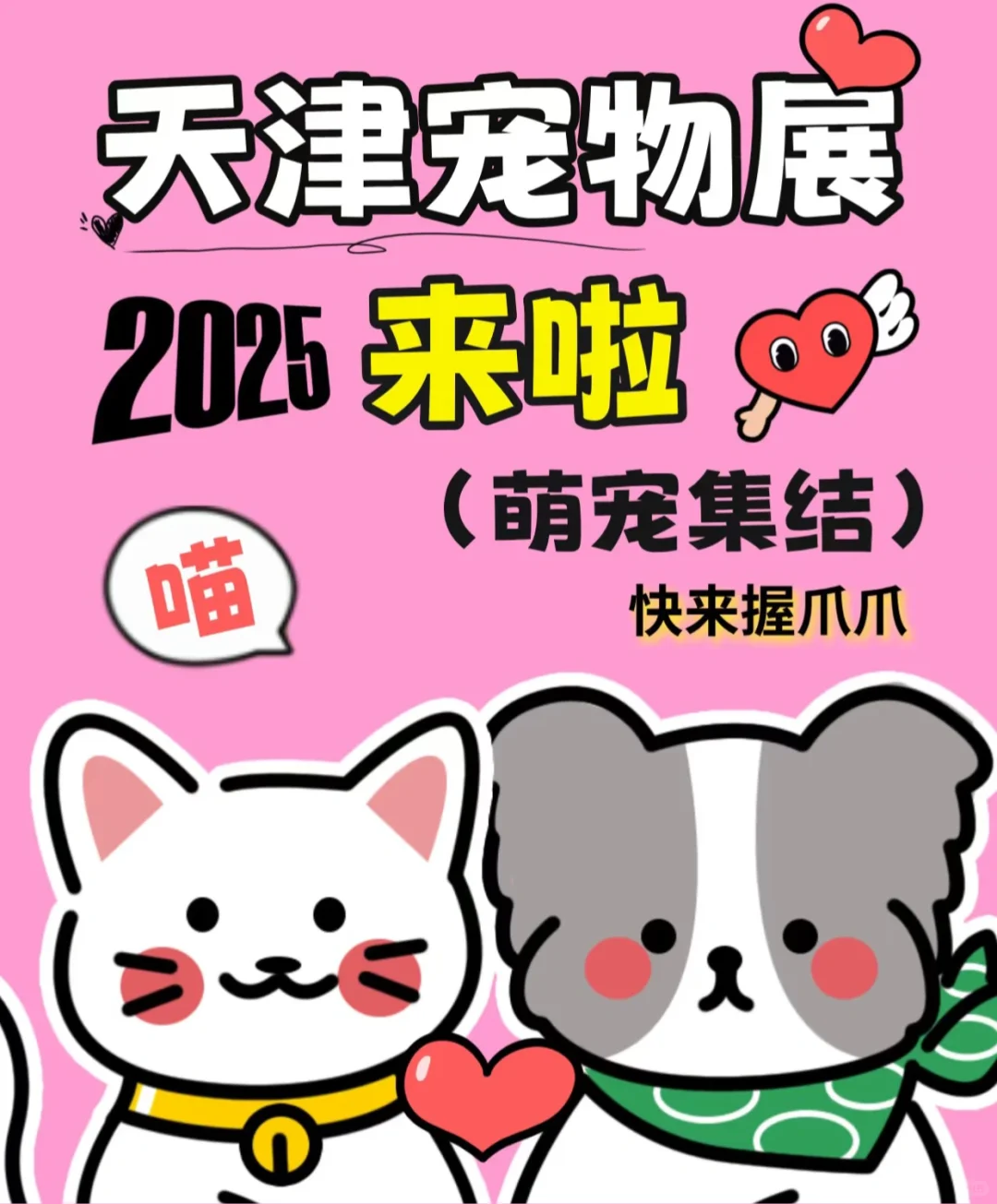 宠物展 ｜ ?暴走8小时总结出的走心攻略