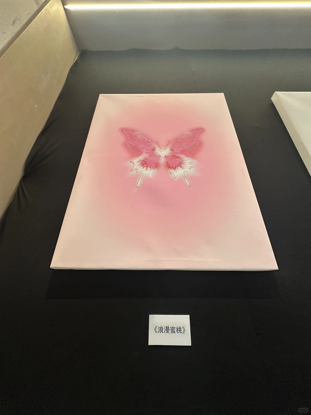 这次展览真的很出片！蝴蝶效应