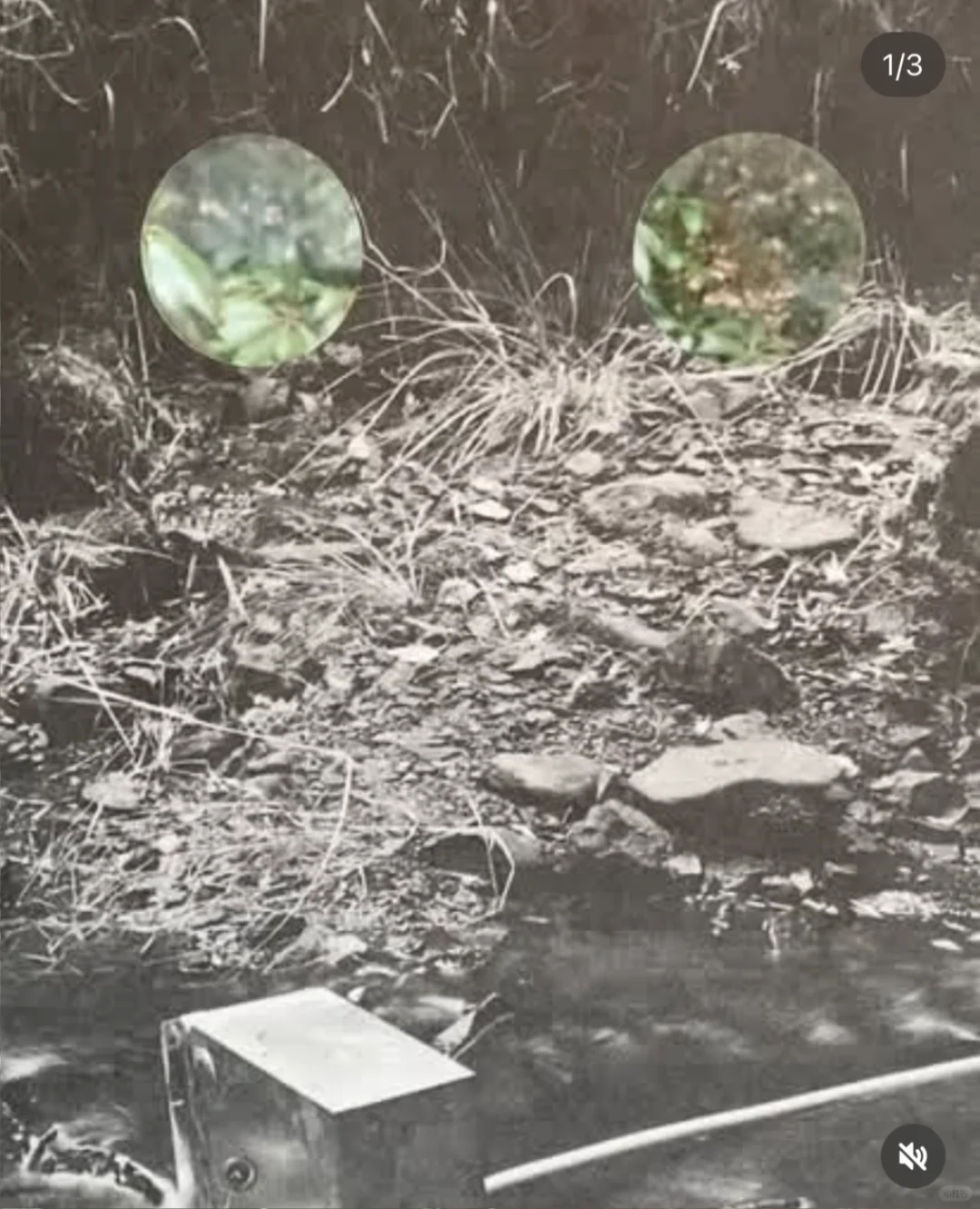 苏格兰最酷的艺术组织Ghost Art School展览