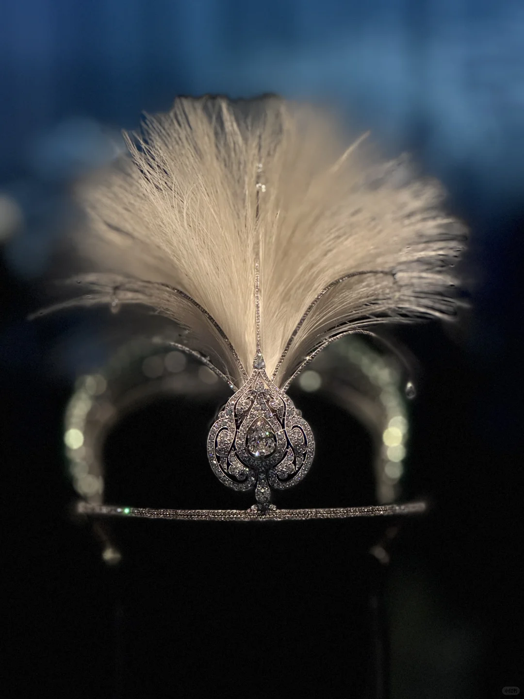 你们都不买那我也不买噜