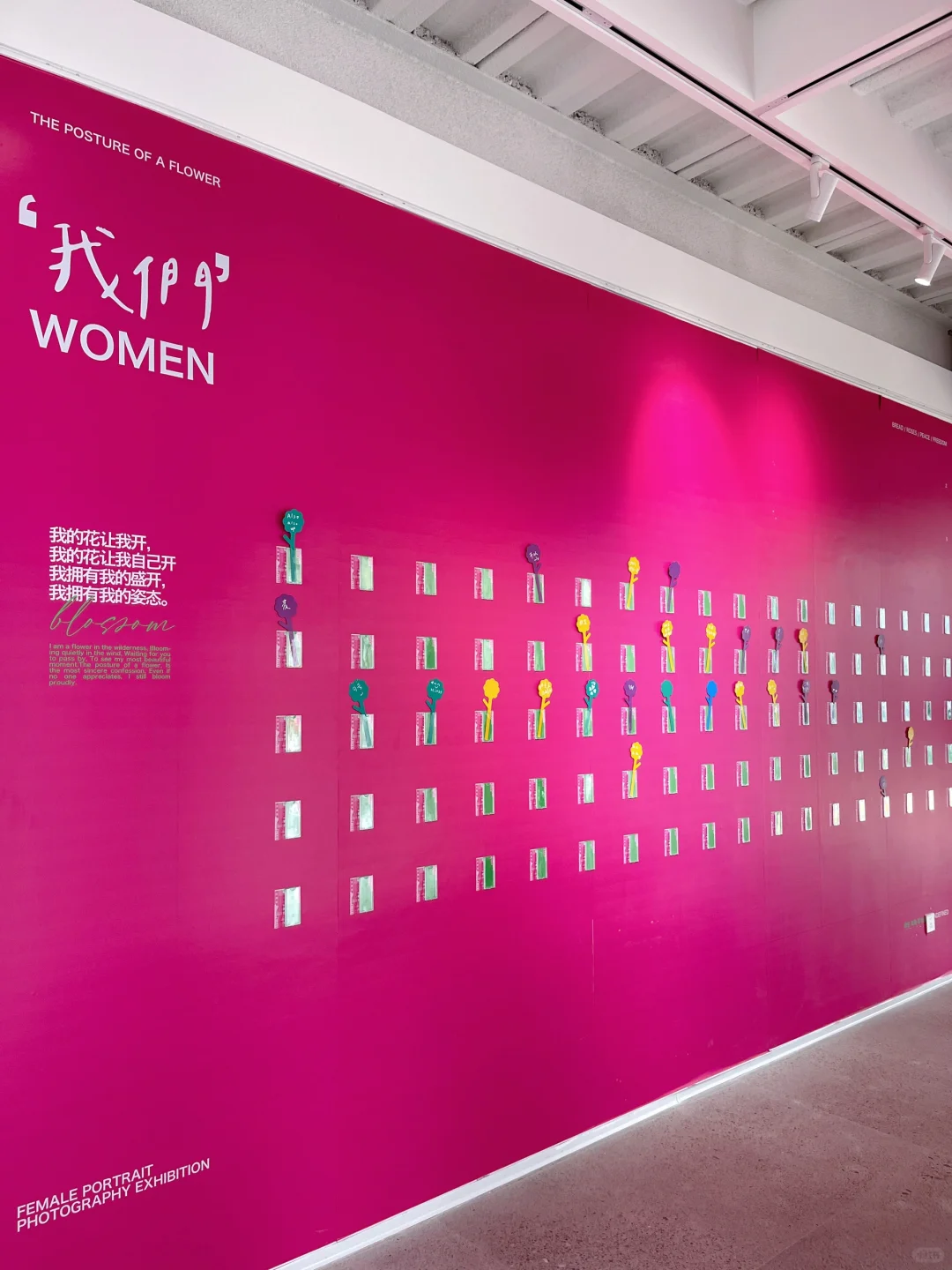 『自由生长』摄影展?不被定义的女性力量?