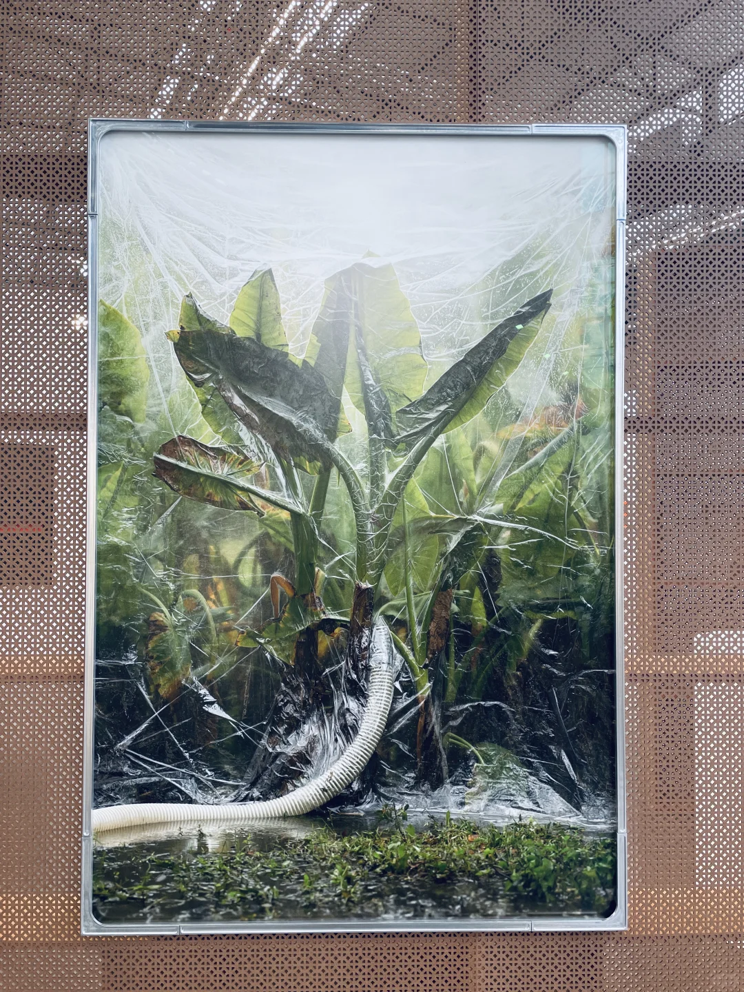 2024年杜塞尔多夫艺术博览会 ｜ ???