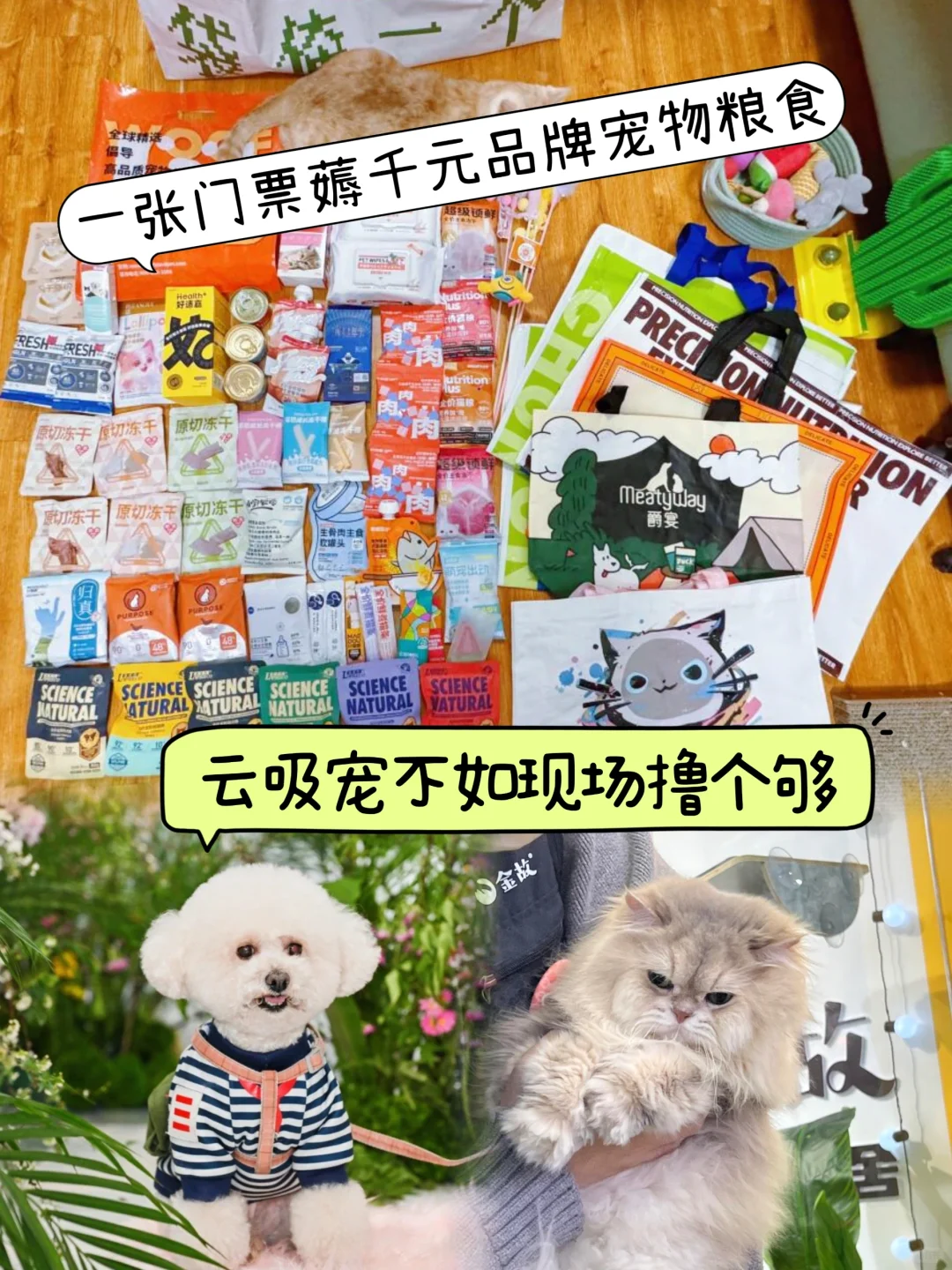 2025石家庄首个宠物展,羊毛薅到你手软?