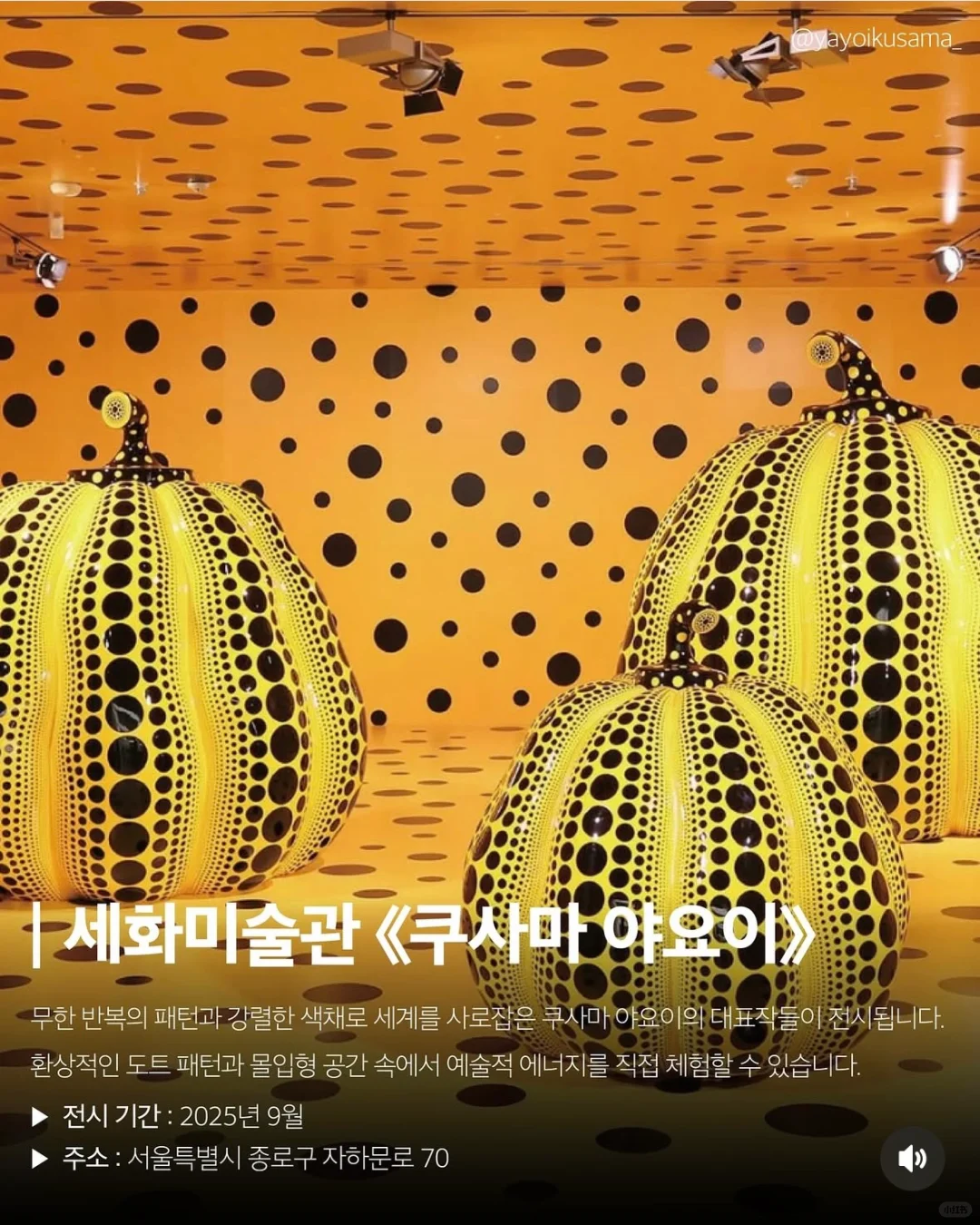 ??首尔看展｜ 不容错过的今年优质展览推荐