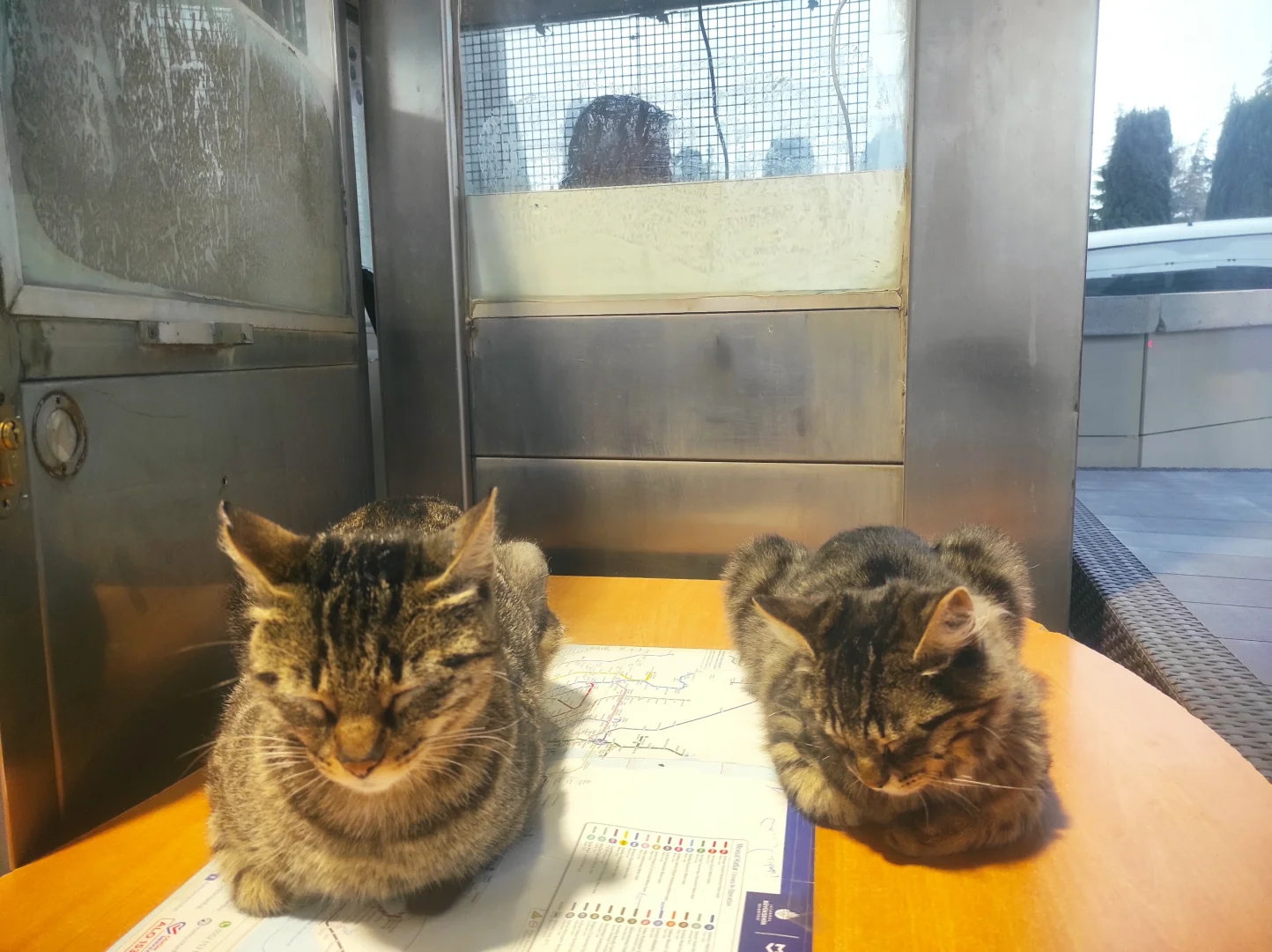 土耳其语翻译(伊斯坦布尔摩托车配件展会)