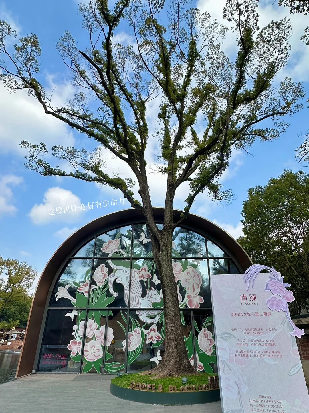 春日新展｜我们一起逃出那座上锁的花园??