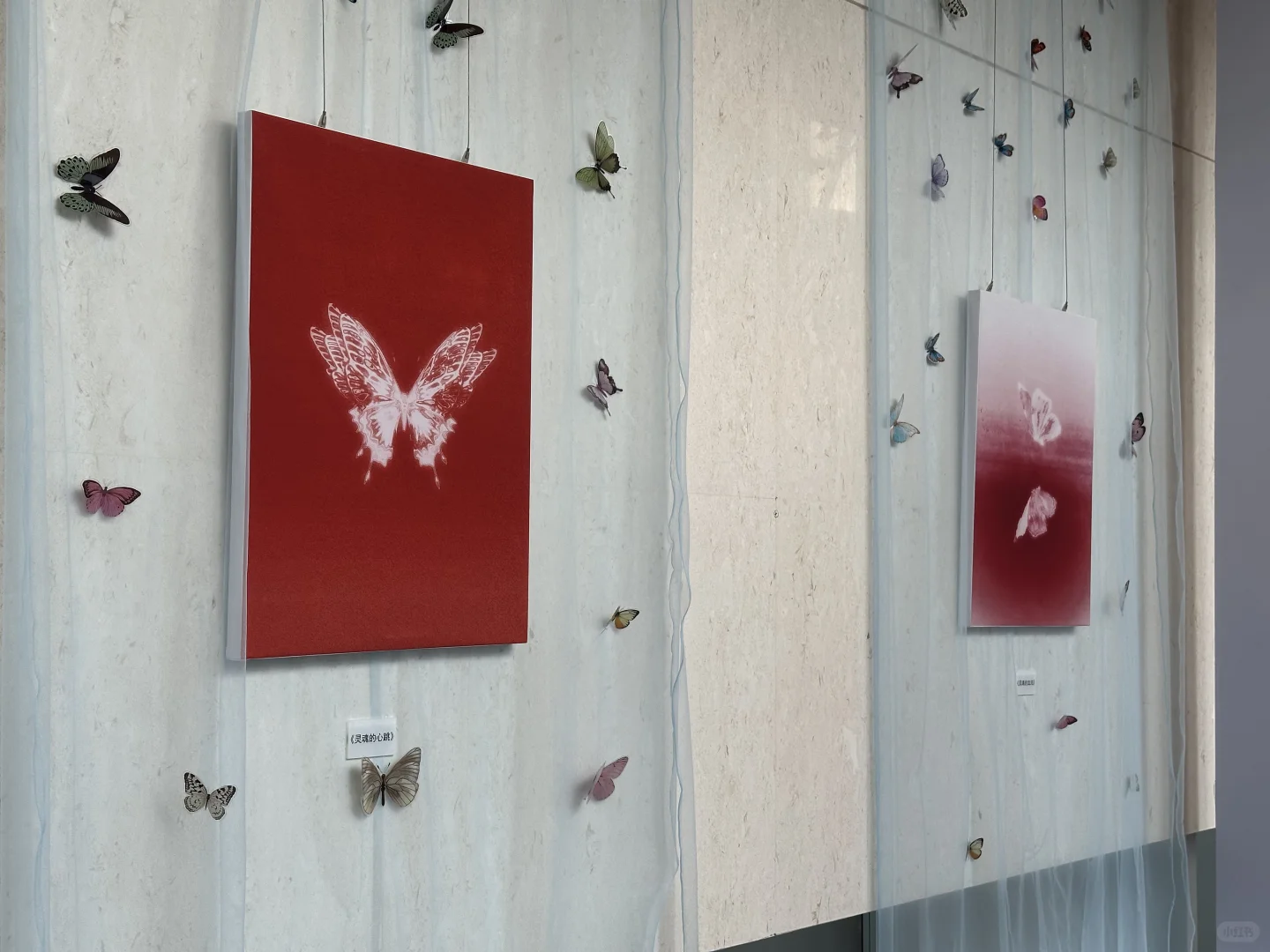 这次展览真的很出片！蝴蝶效应
