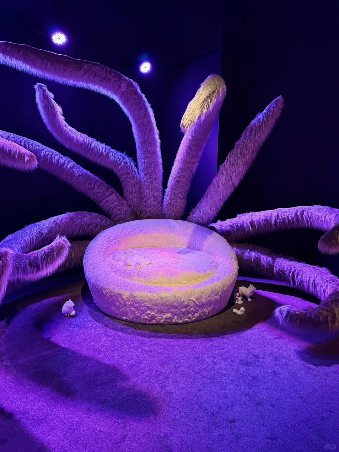 上海新展｜沉浸式光影展?