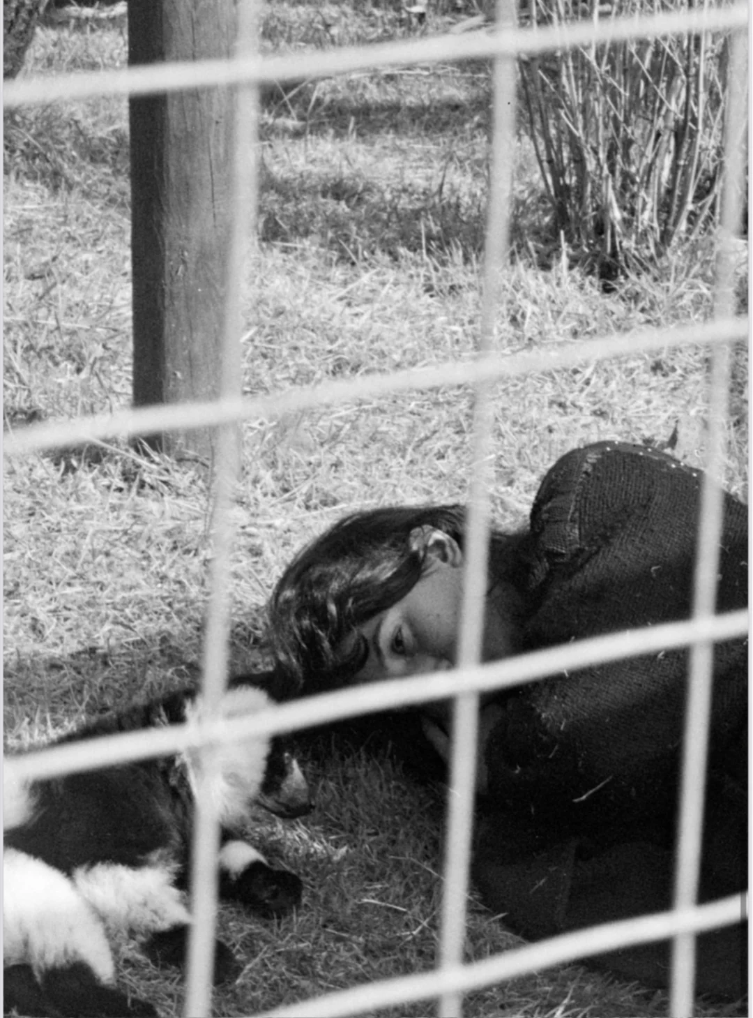 苏格兰最酷的艺术组织Ghost Art School展览