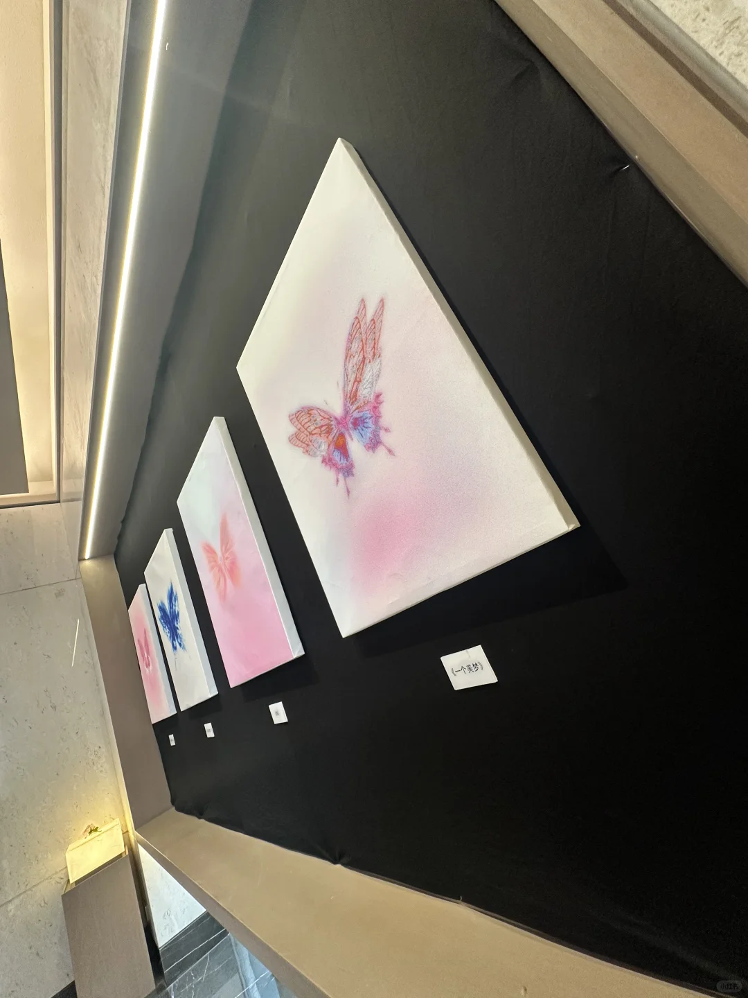 这次展览真的很出片！蝴蝶效应