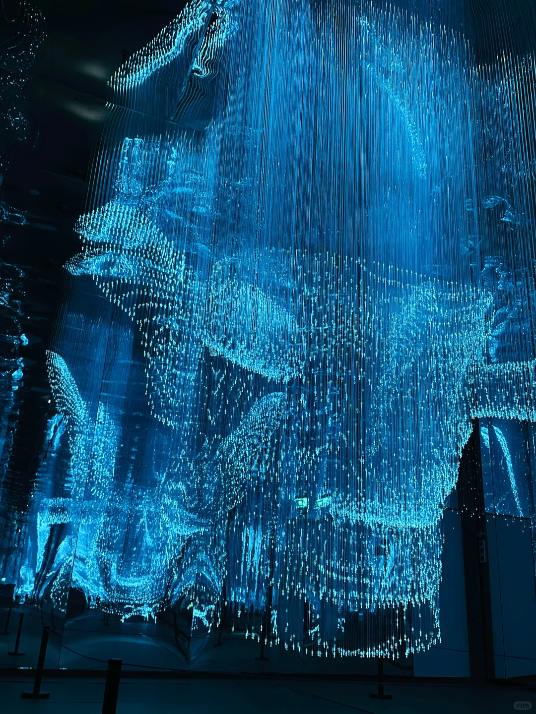 超震撼！北京开年展“文明的起源”穿越之旅