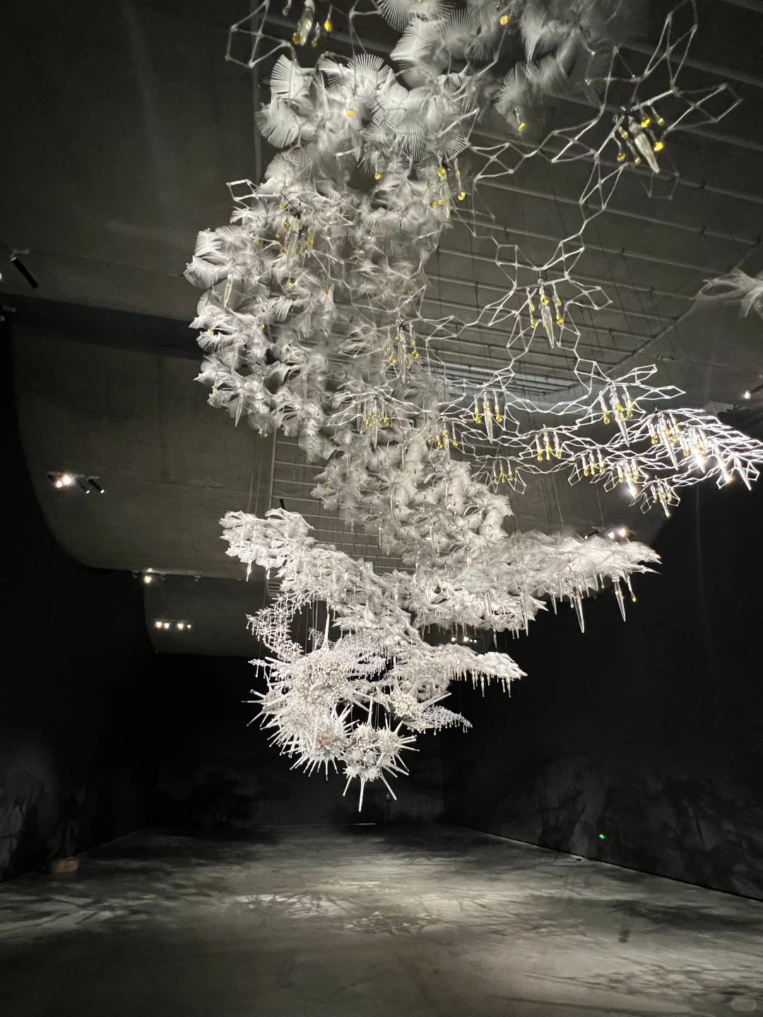 CUBE｜798艺术与科技双年展