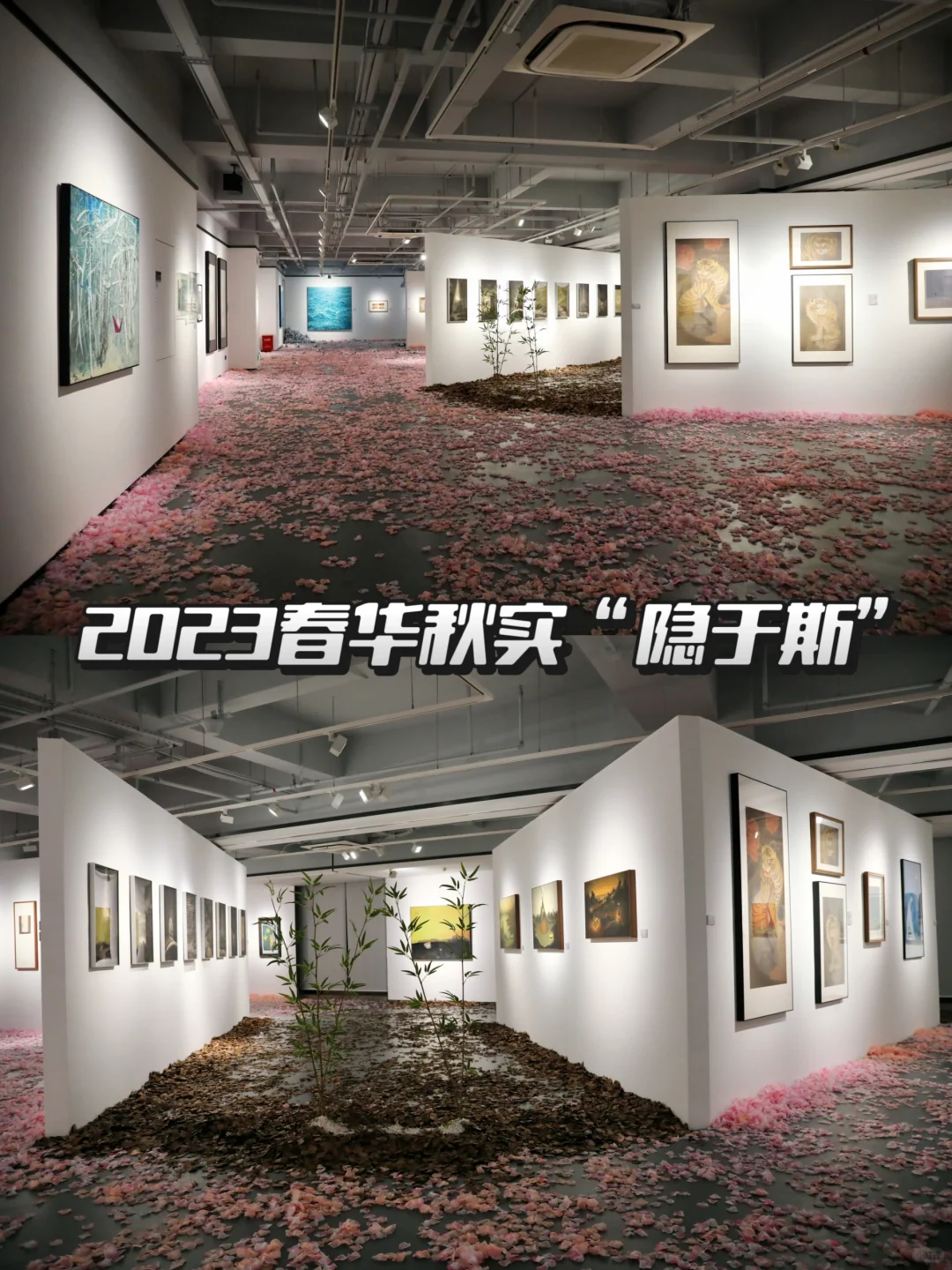 艺术征集 | 深圳2025春华秋实展览欢迎投稿