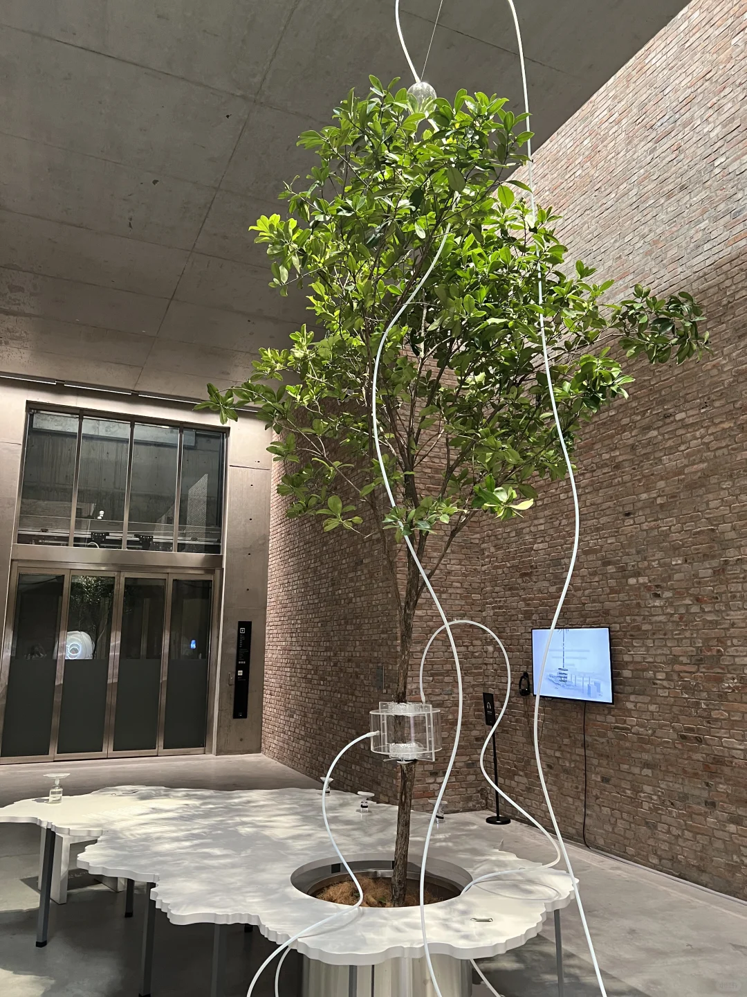 CUBE｜798艺术与科技双年展