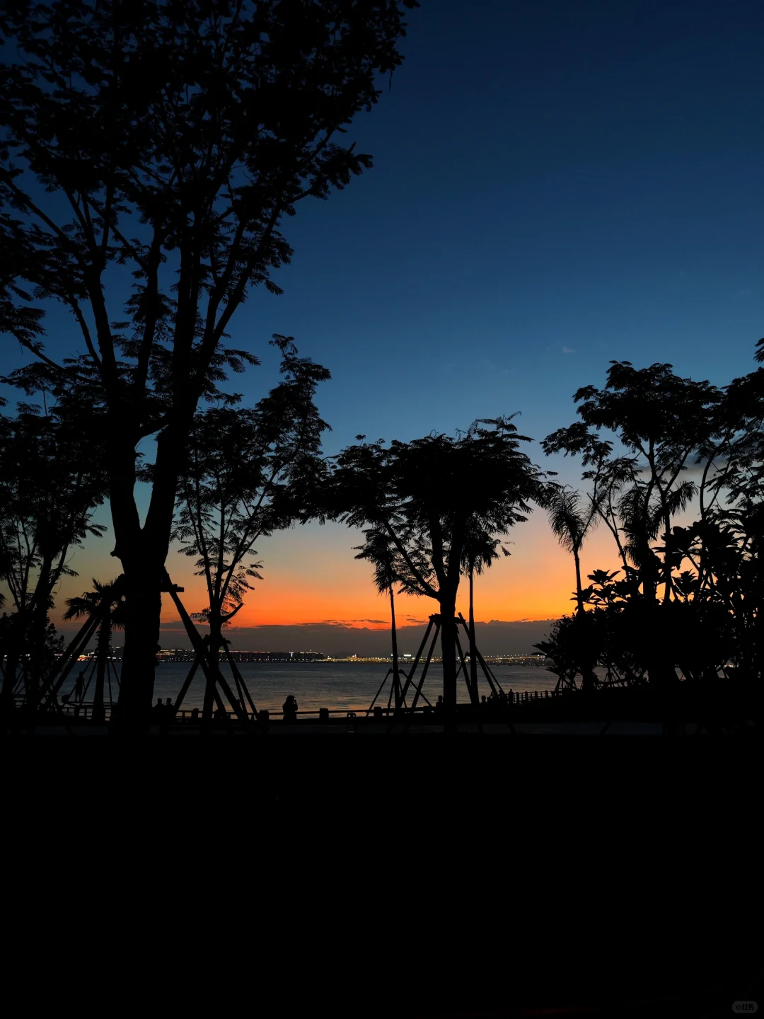 厦门翔安丨翔安会展沙滩荻花洲看日落