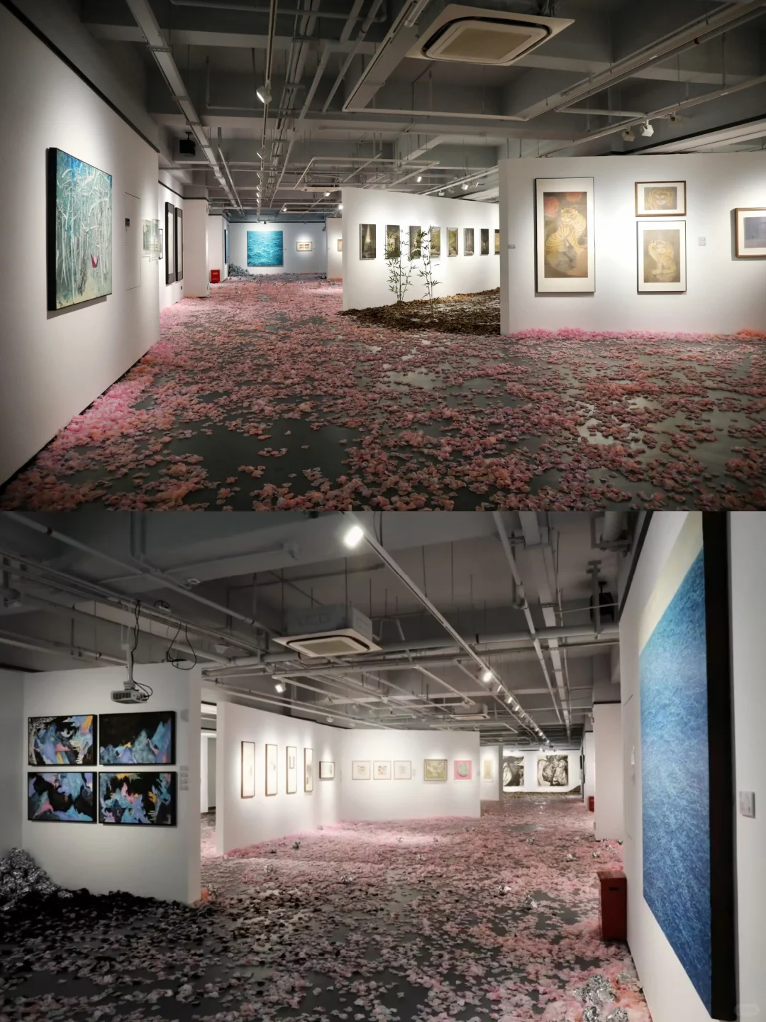 艺术征集 | 深圳2025春华秋实展览欢迎投稿