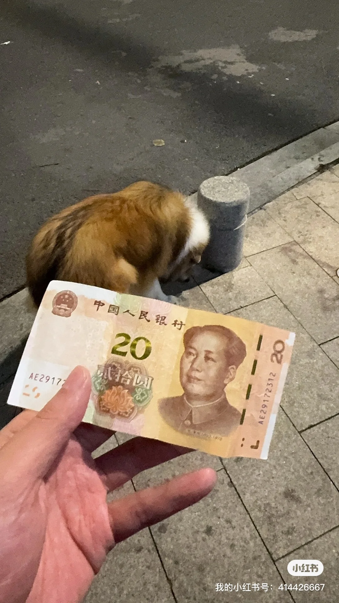 18到20号福州会展中心需要兼职