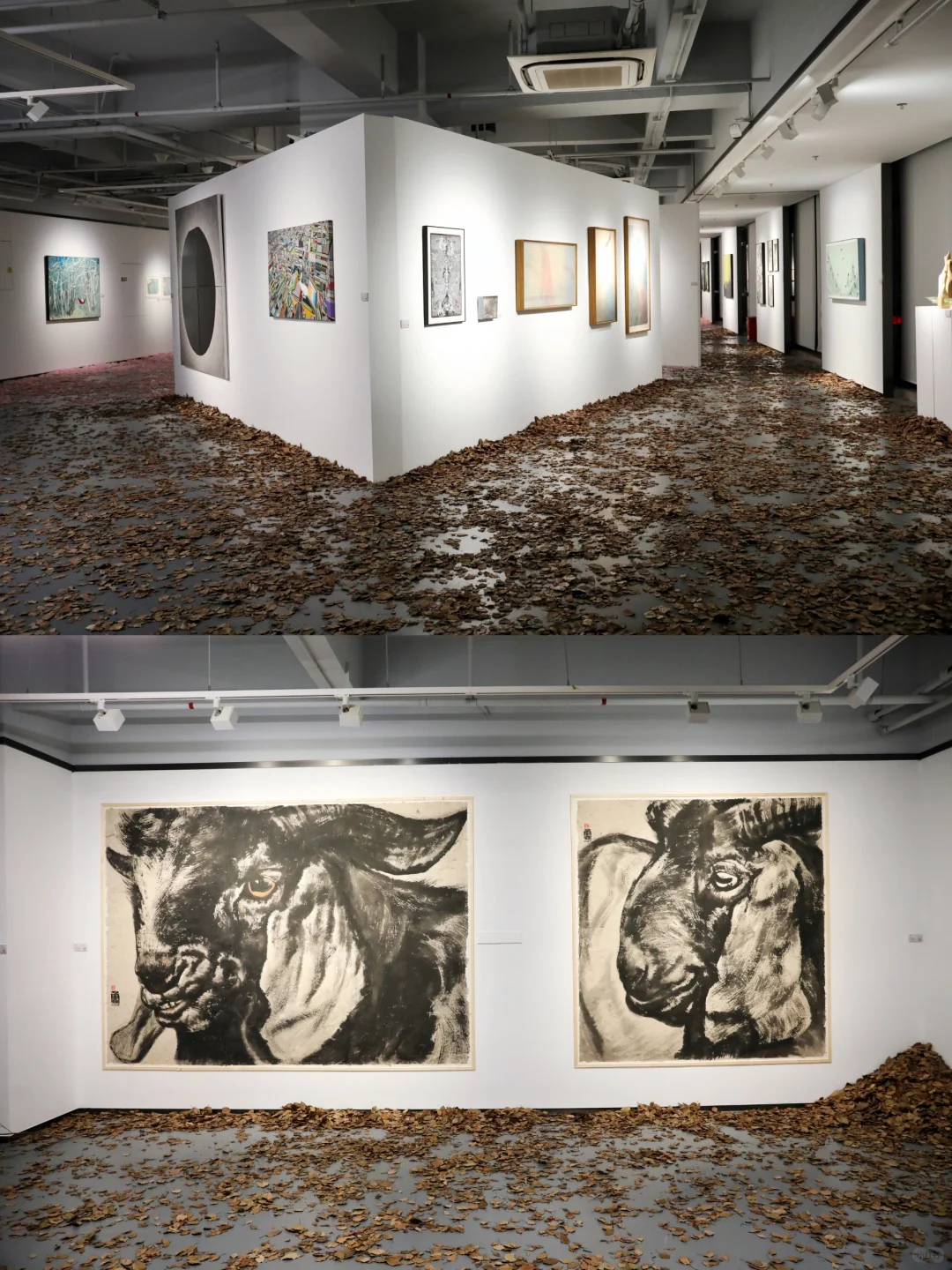 艺术征集 | 深圳2025春华秋实展览欢迎投稿