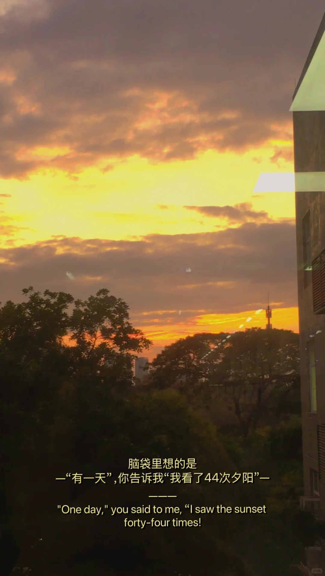 ?✨ 大二会展女大的不拖延一天✨☕️