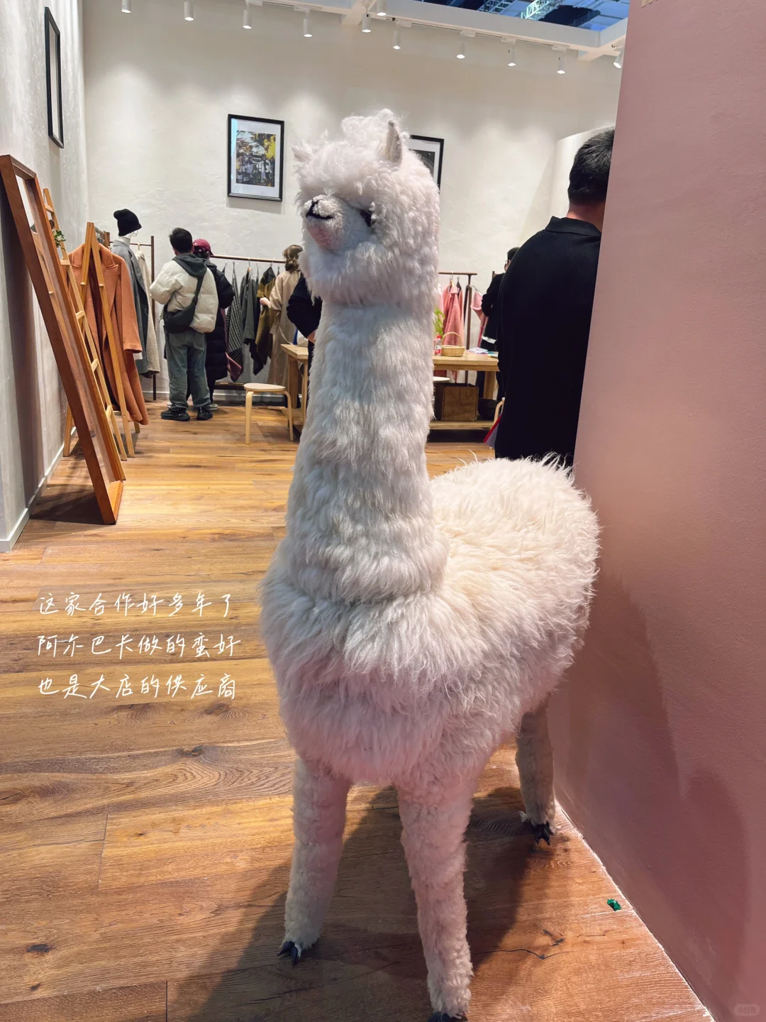 今天，半个服装圈都在上海。