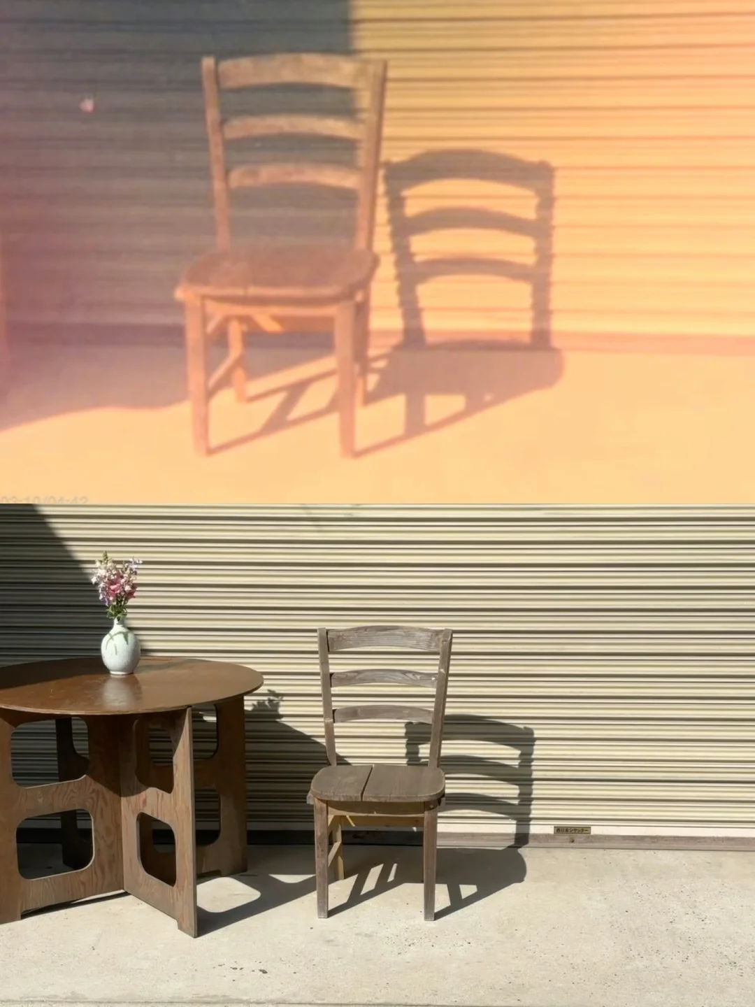 ?2025/3/10里庄游记碎碎念❸(完结)