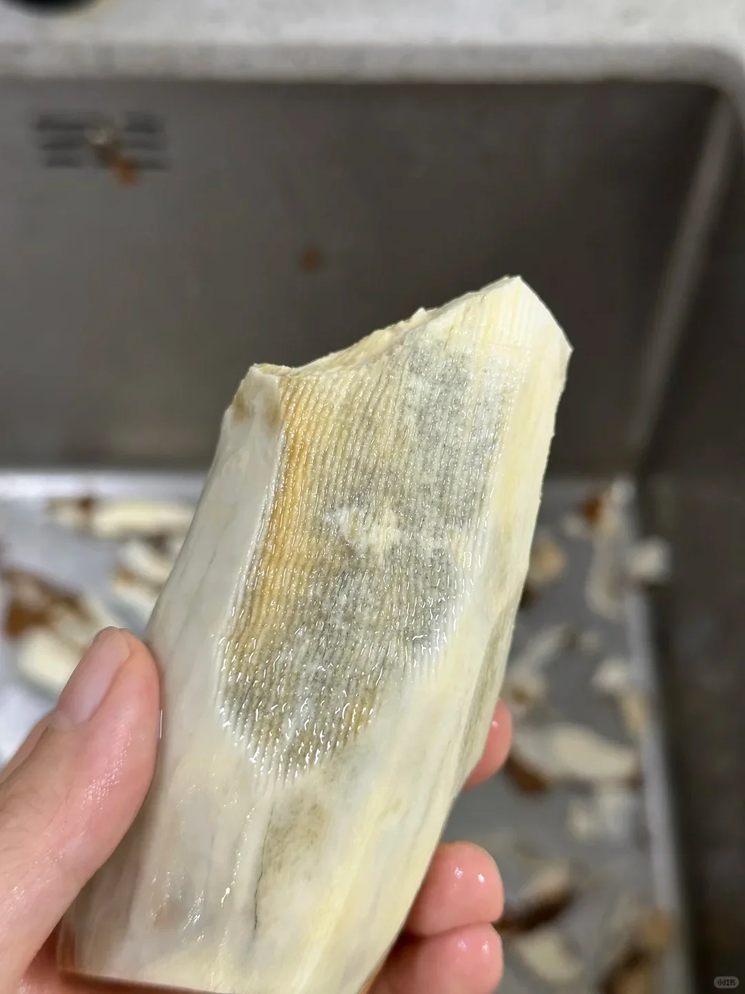 南京 展会举牌兼职