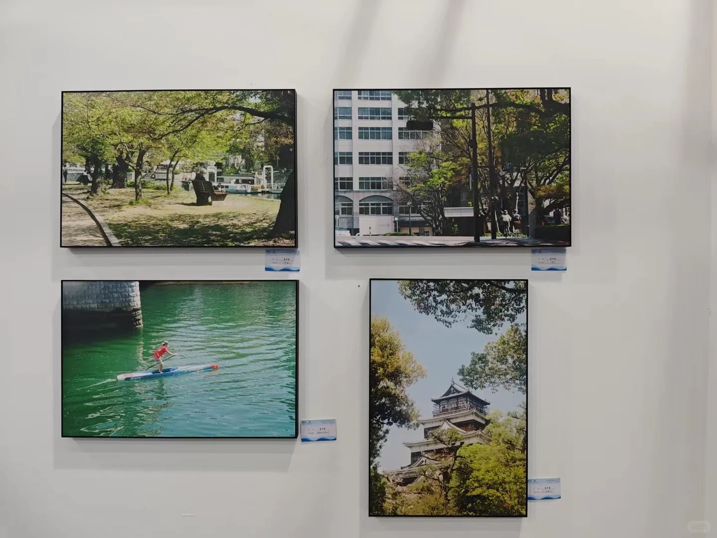 2025 全国摄影艺术展征稿中