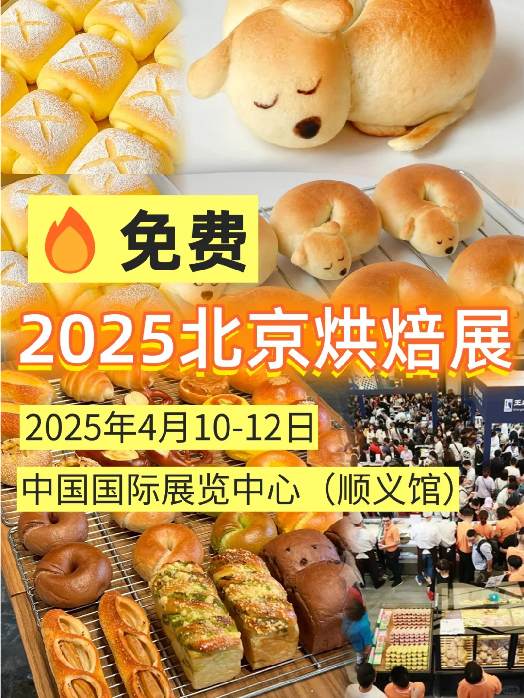 吃货必看❗北京烘焙展?免费吃喝+薅?