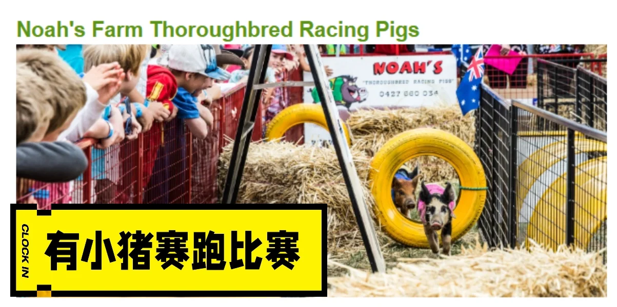 CBR|皇家展览会|10万人|2025