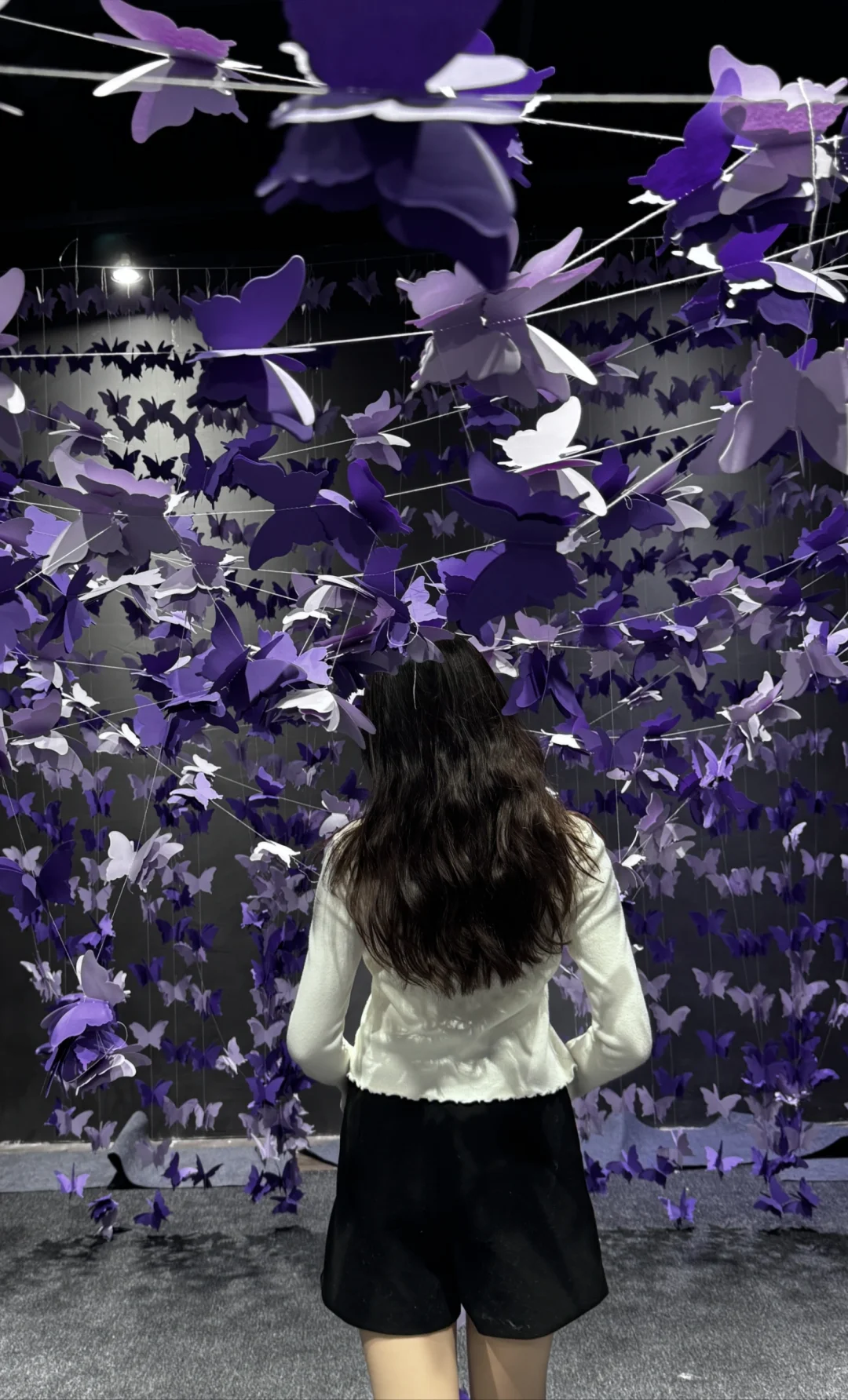 “自由与灵魂，短暂且浪漫”?⋆⁺₊