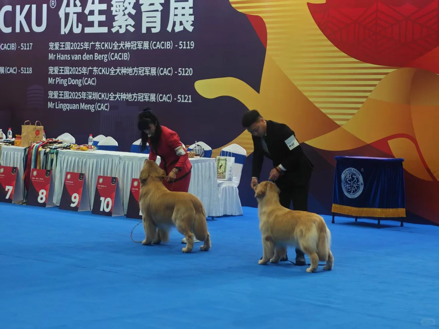 深宠展第一天战绩！羊毛党的福利！避雷注意