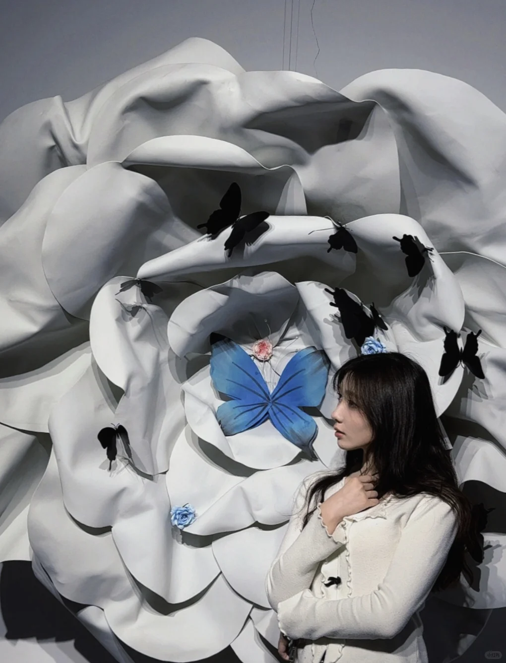 “自由与灵魂，短暂且浪漫”?⋆⁺₊