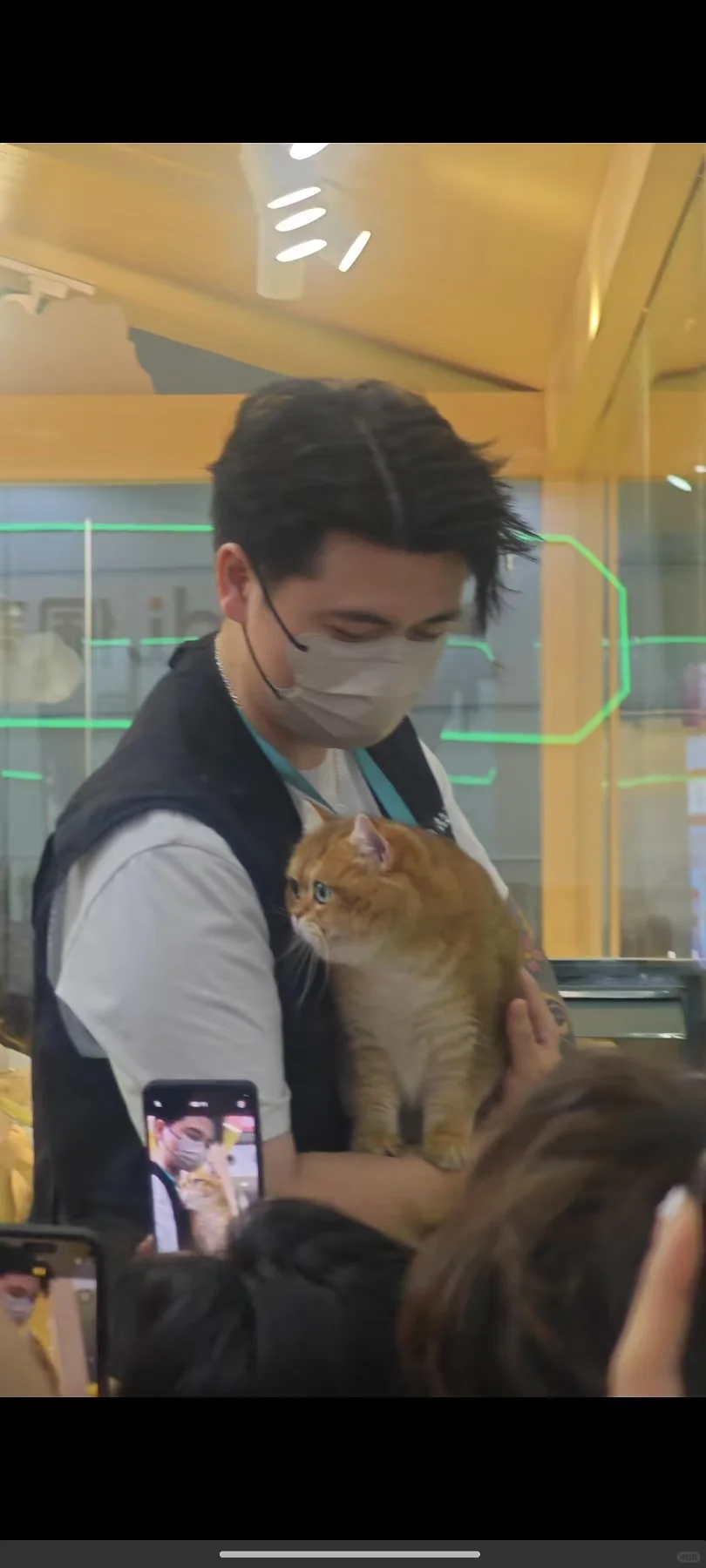 深宠展第一天战绩！羊毛党的福利！避雷注意