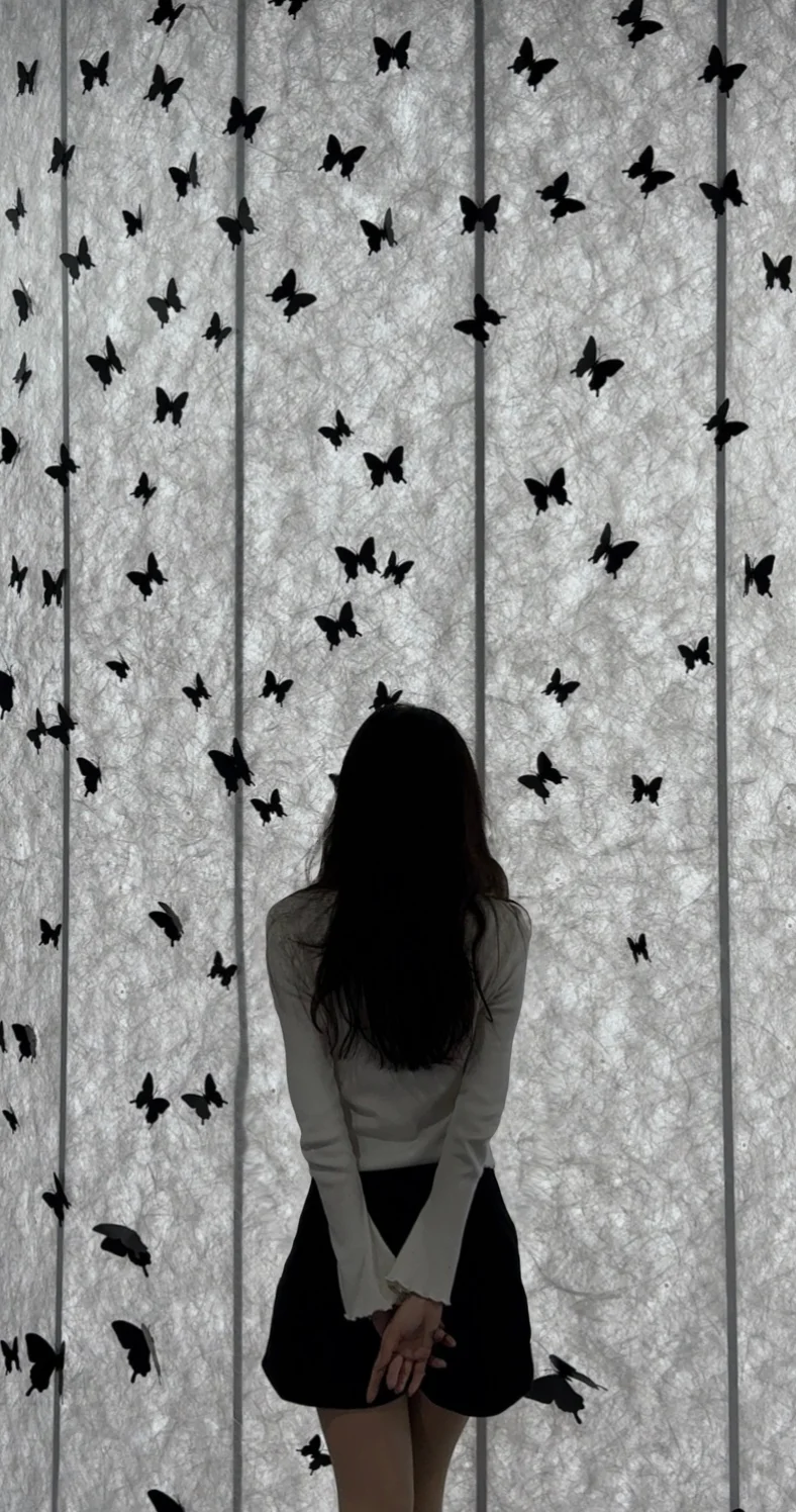 “自由与灵魂，短暂且浪漫”?⋆⁺₊