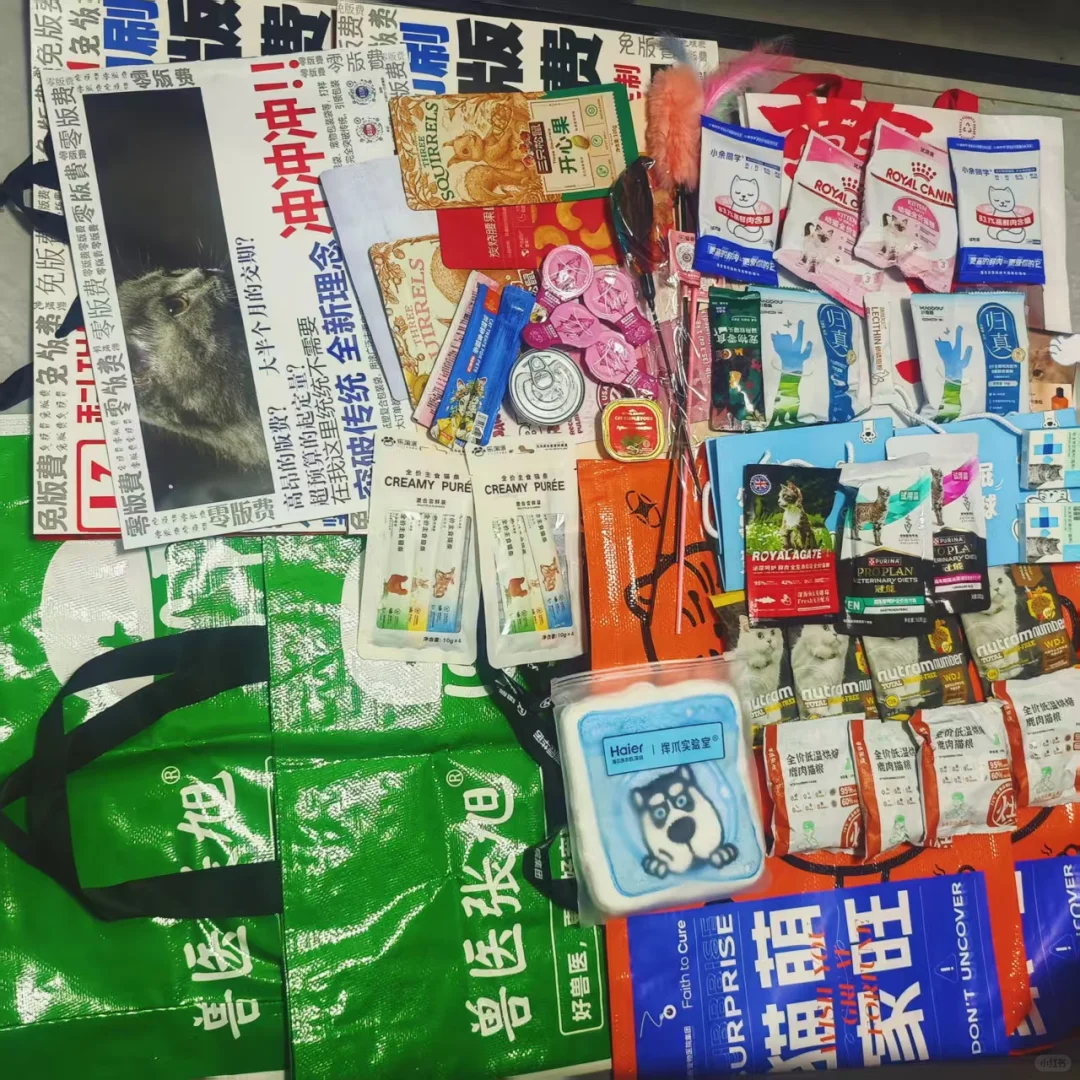 深宠展第一天战绩！羊毛党的福利！避雷注意