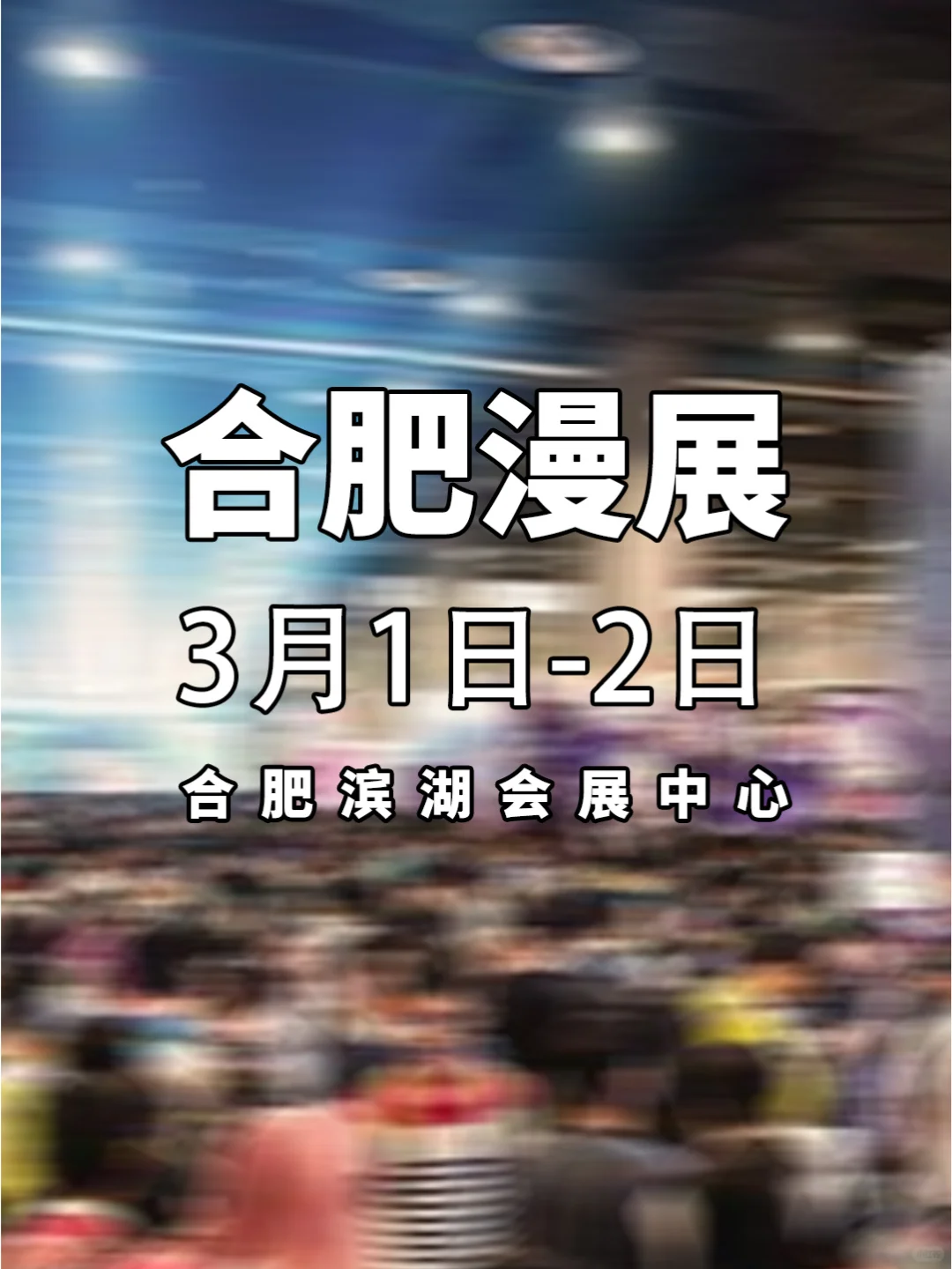 合肥第十七届次元之门动漫游戏博览会