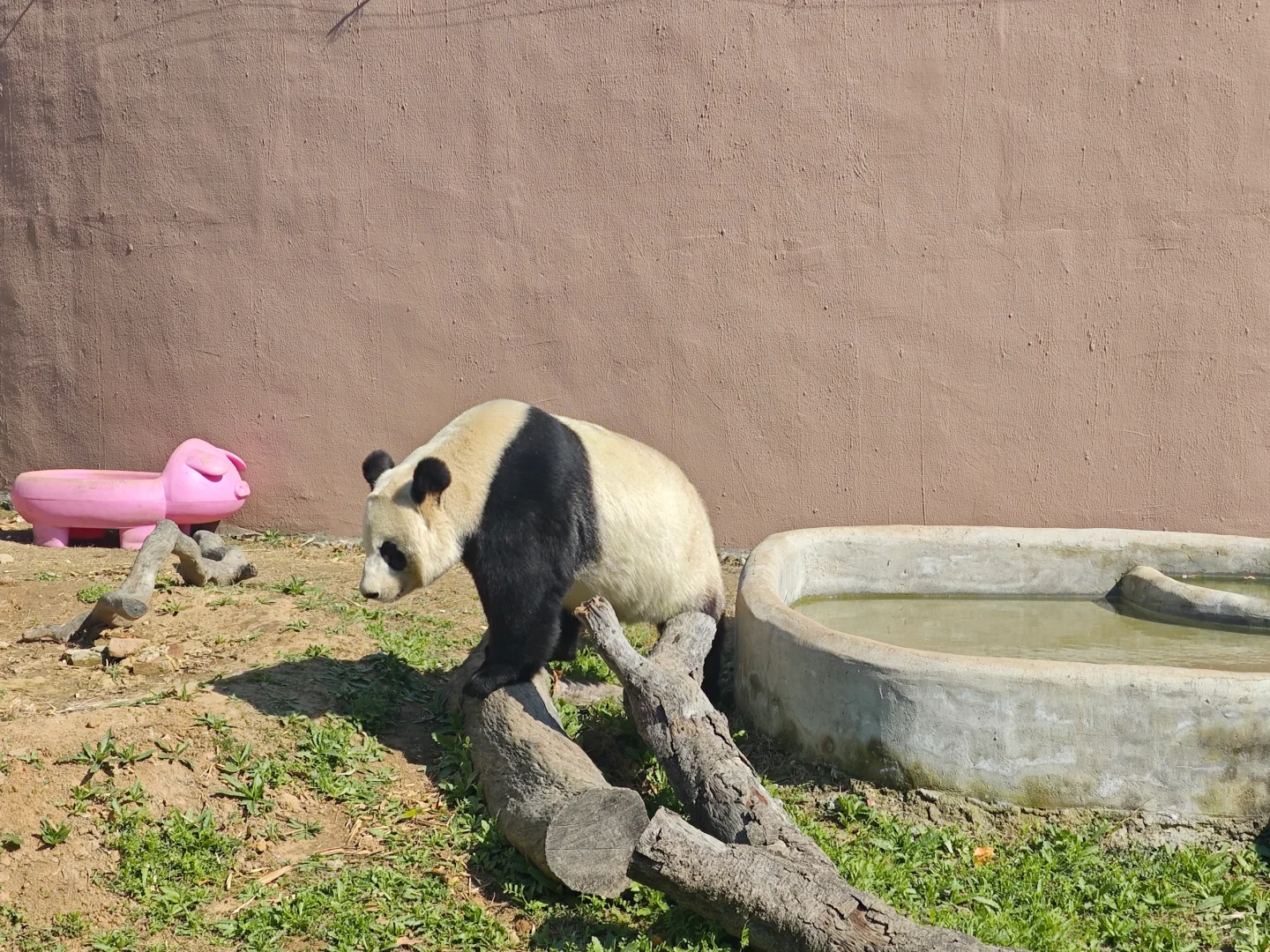 扬州世界园艺博览会
