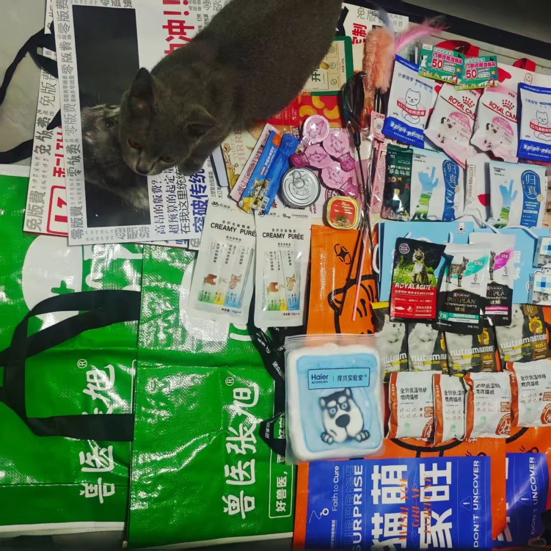 深宠展第一天战绩！羊毛党的福利！避雷注意