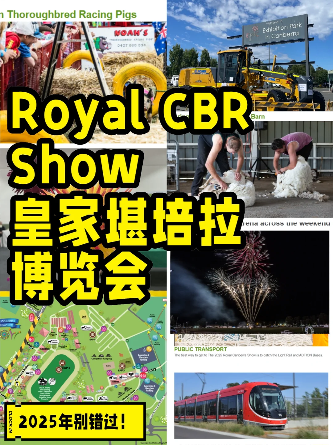 CBR|皇家展览会|10万人|2025