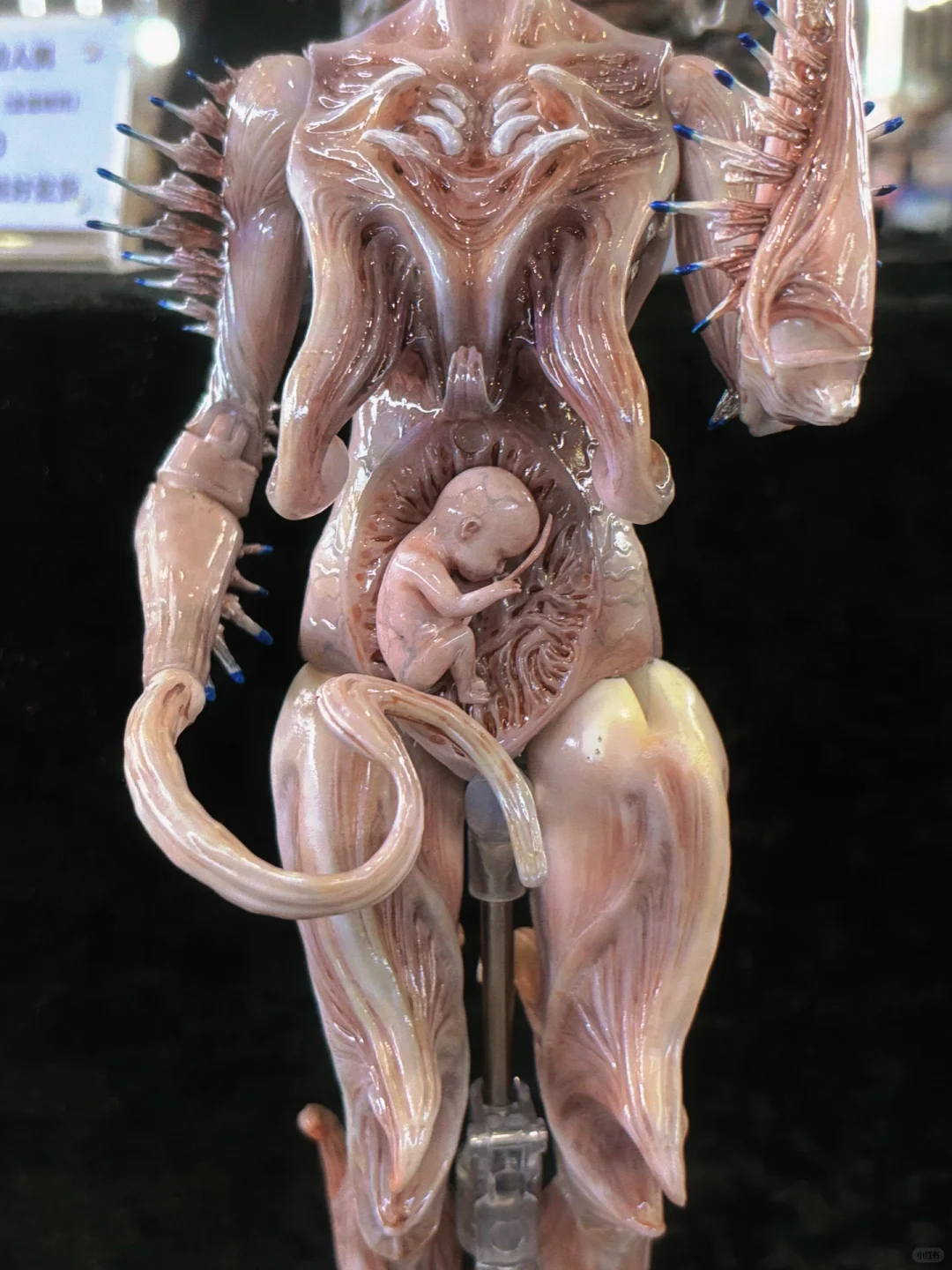 逛玩具展❗️时隔四年再去上海WF好失望