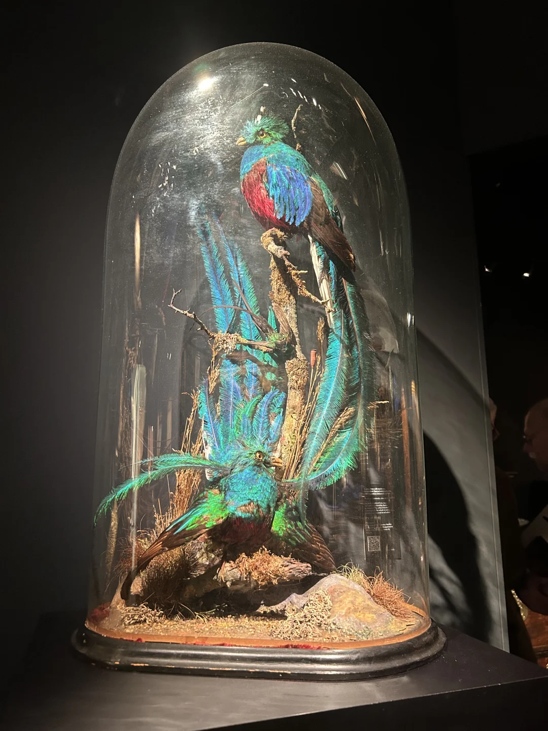 TEFAF2025 世界艺术古董博览会