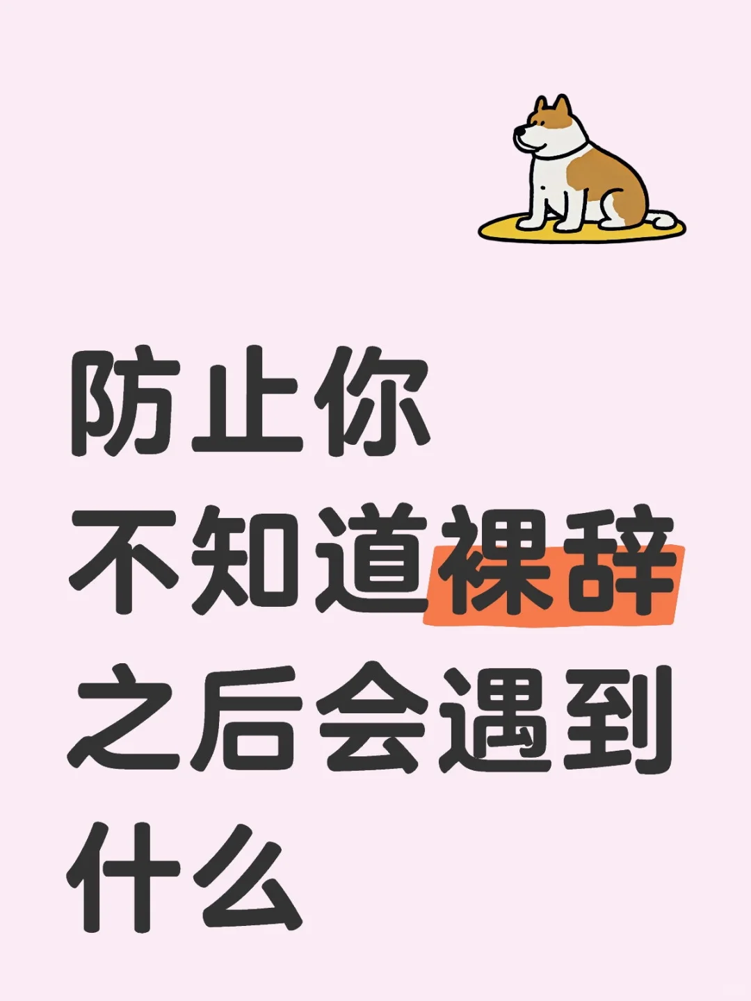 应届光速裸辞4个月总结·生活篇（一）